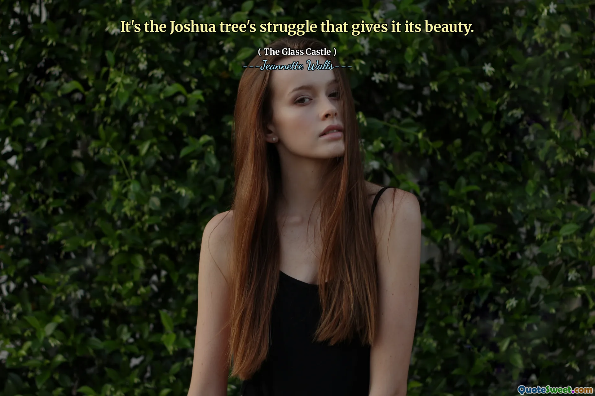 إنه صراع شجرة جوشوا هو الذي يمنحه جمالها.