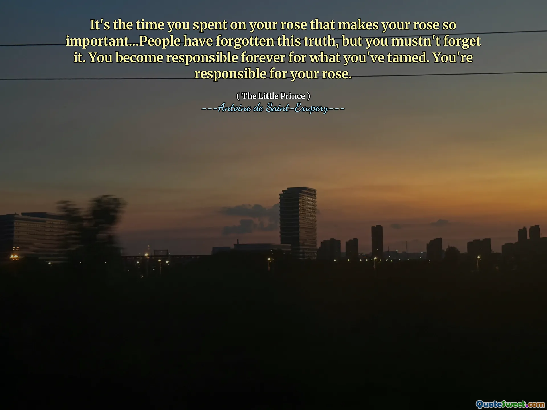 It's the time you spent on your rose that makes your rose so important...People have forgotten this truth, but you mustn't forget it. You become responsible forever for what you've tamed. You're responsible for your rose.