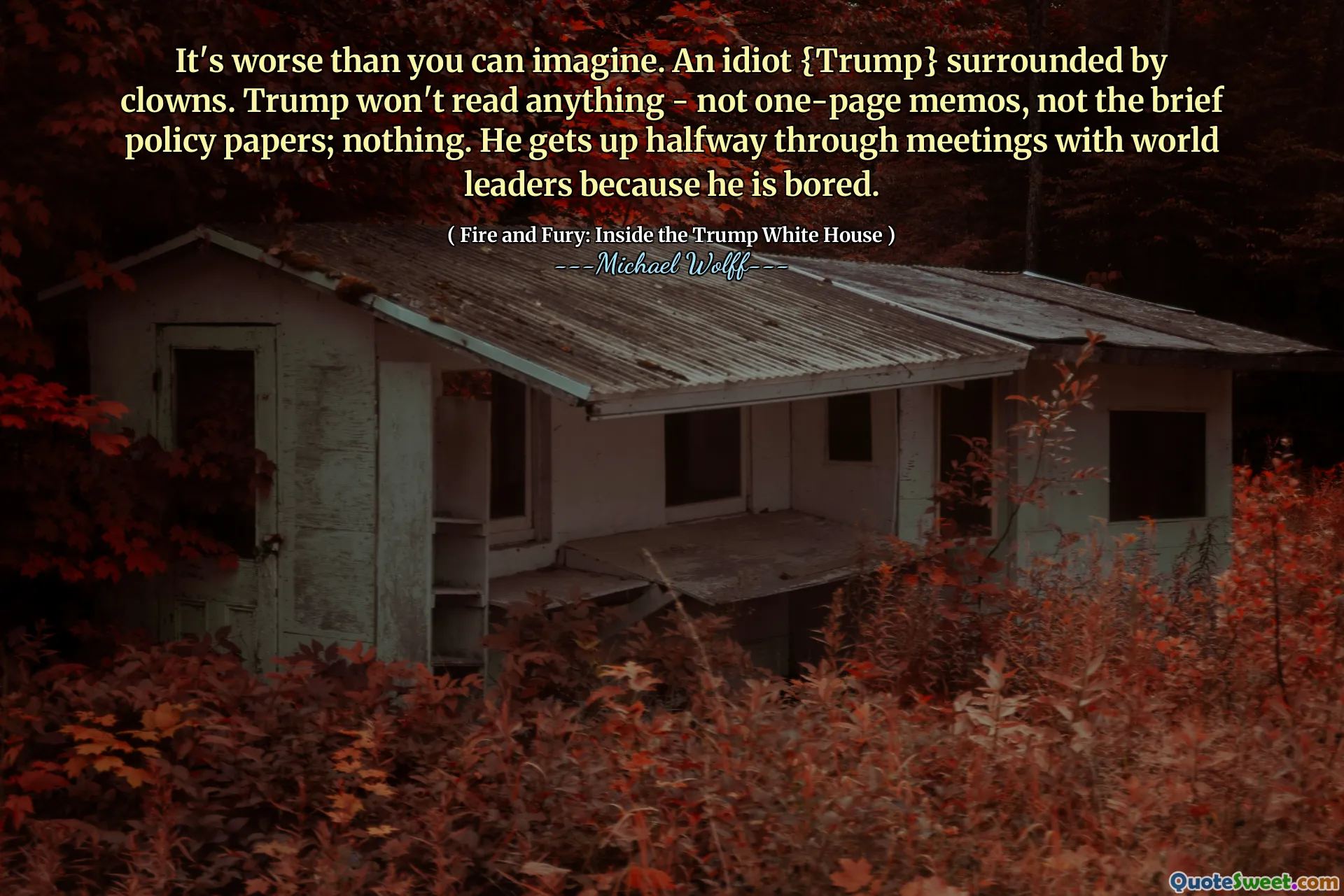 It's worse than you can imagine. An idiot {Trump} surrounded by clowns. Trump won't read anything - not one-page memos, not the brief policy papers; nothing. He gets up halfway through meetings with world leaders because he is bored.