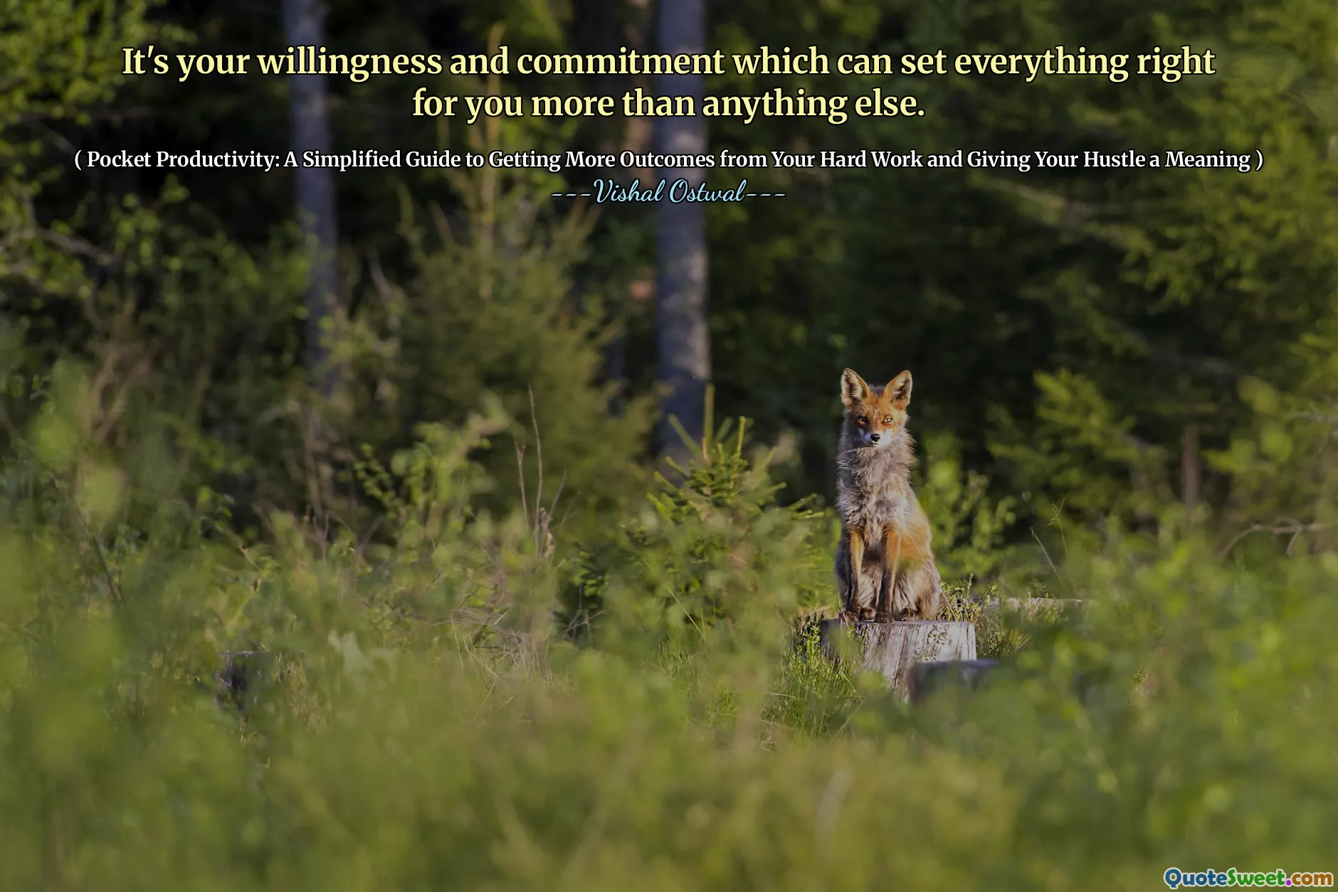 It's your willingness and commitment which can set everything right for you more than anything else.