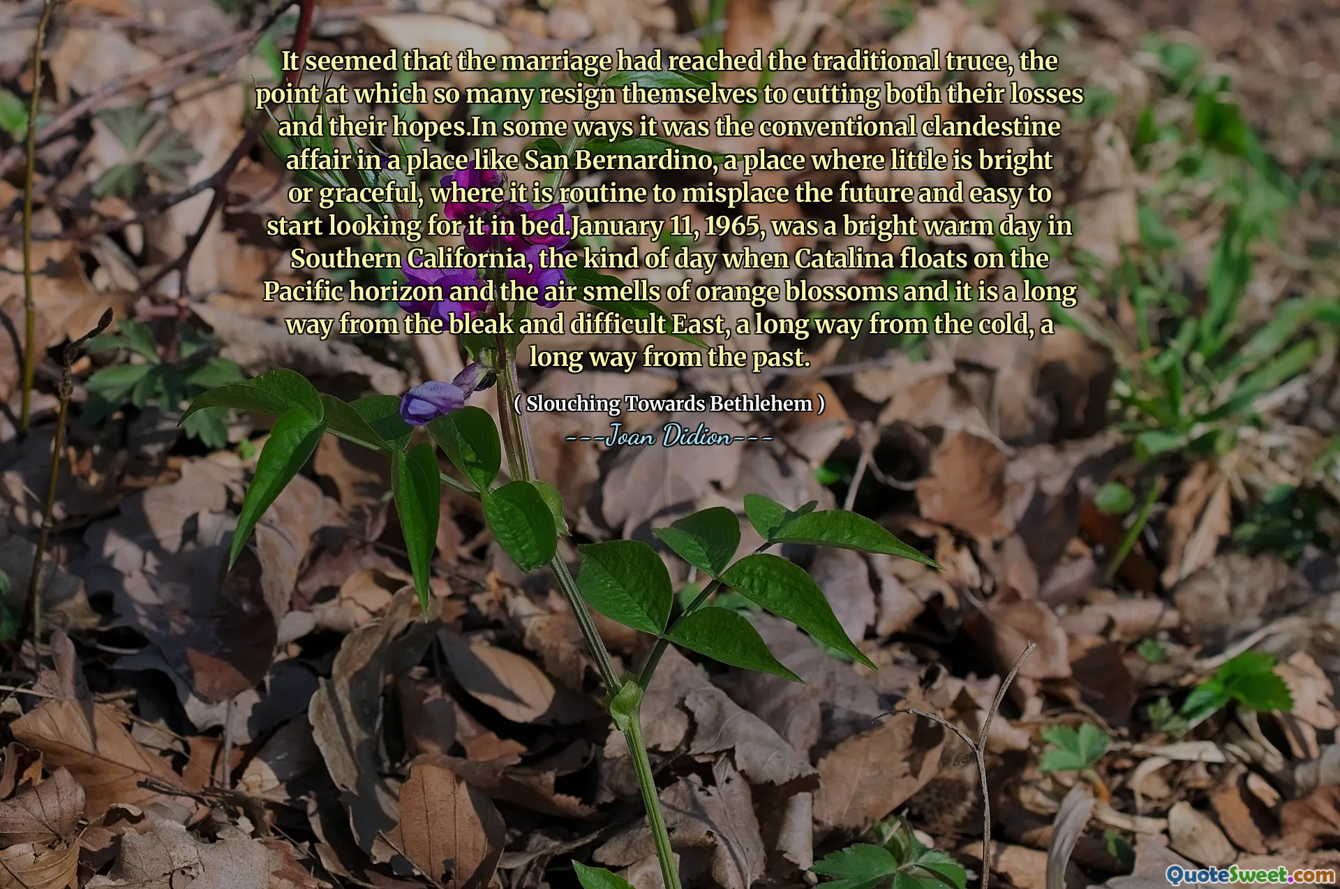 Tampaknya pernikahan itu telah mencapai gencatan senjata tradisional, titik di mana begitu banyak orang pasrah untuk memotong kedua kerugian dan harapan mereka. Dalam beberapa hal itu adalah perselingkuhan klandestin konvensional di tempat seperti San Bernardino, tempat di mana sedikit di tempat yang cerah atau anggun di California, di South di masa depan dan mudah untuk mulai mencari di bed. Di cakrawala Pasifik dan udara berbau bunga oranye dan jauh dari timur yang suram dan sulit, jauh dari kedinginan, jauh dari masa lalu.