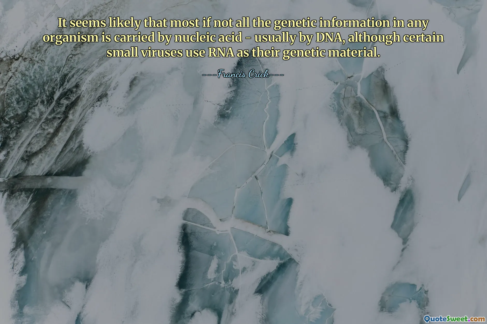 It seems likely that most if not all the genetic information in any organism is carried by nucleic acid - usually by DNA, although certain small viruses use RNA as their genetic material.