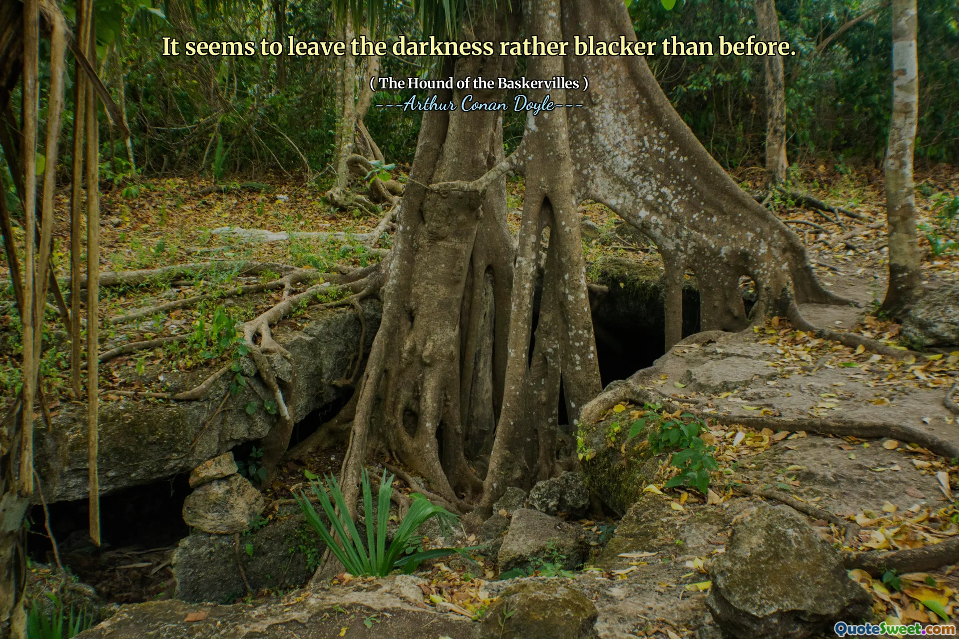 It seems to leave the darkness rather blacker than before.