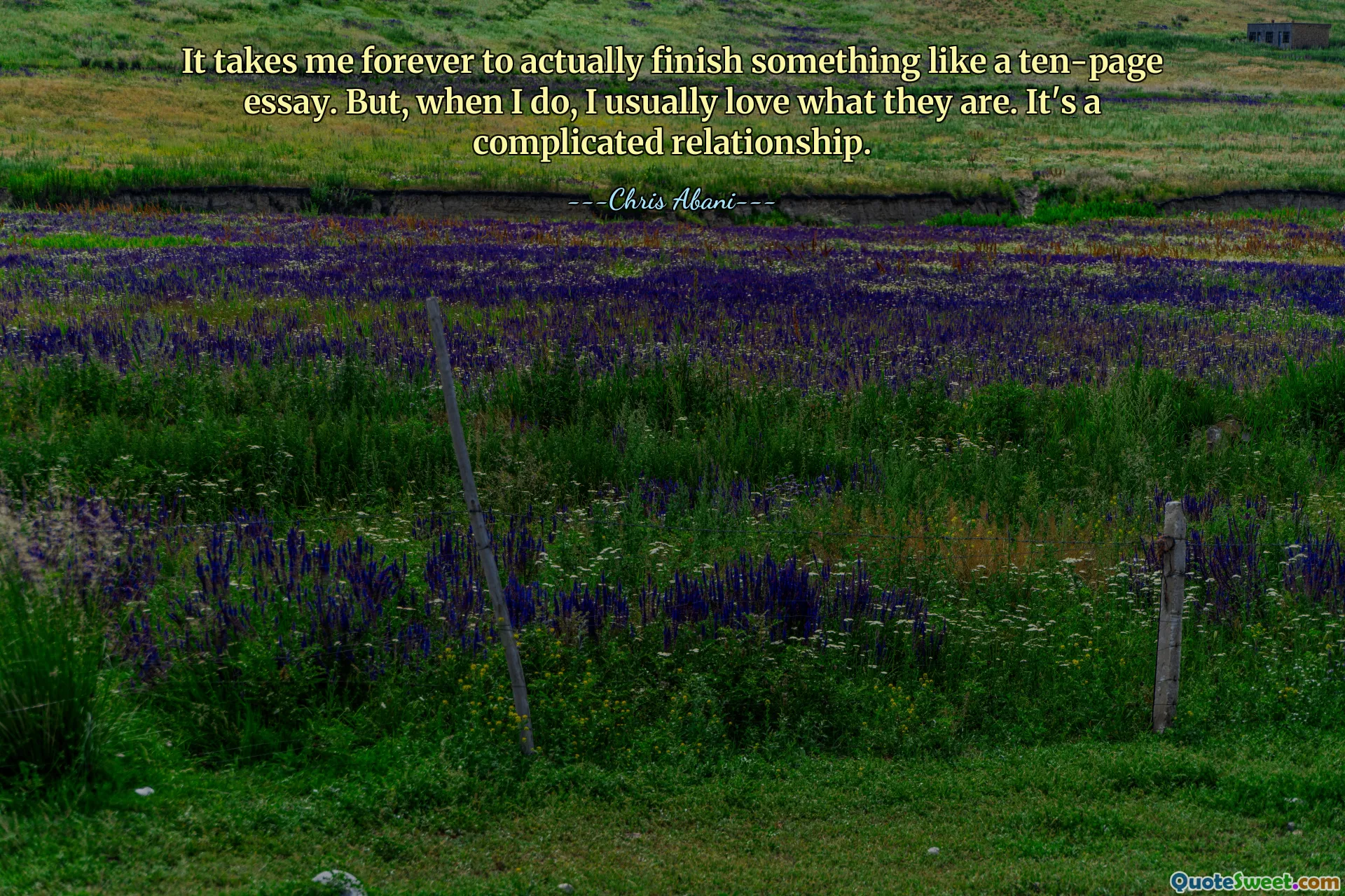 It takes me forever to actually finish something like a ten-page essay. But, when I do, I usually love what they are. It's a complicated relationship.