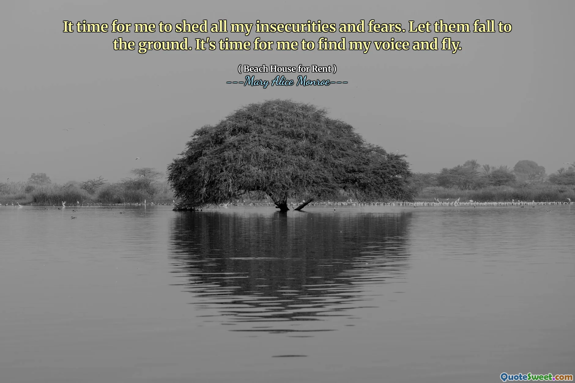 Este timpul să -mi vărs toate nesiguranțele și temerile. Lasă -i să cadă la pământ. Este timpul să -mi găsesc vocea și să zboare.