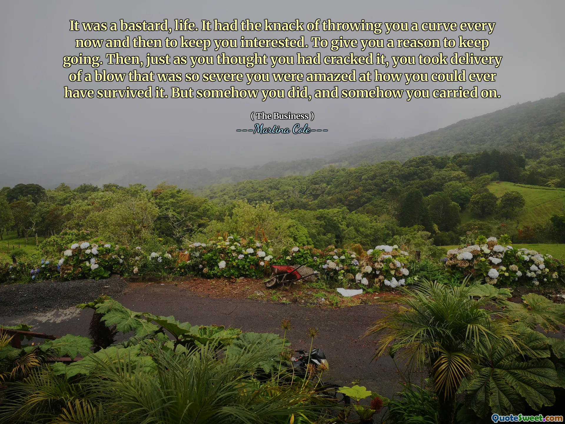 C'était un salaud, la vie. Il y avait le talent de vous lancer une courbe de temps en temps pour vous intéresser. Pour vous donner une raison de continuer. Ensuite, juste au moment où vous pensiez l'avoir craqué, vous avez pris livraison d'un coup si grave que vous étiez étonné de voir comment vous auriez pu y avoir survécu. Mais vous l'avez fait, et vous avez continué.