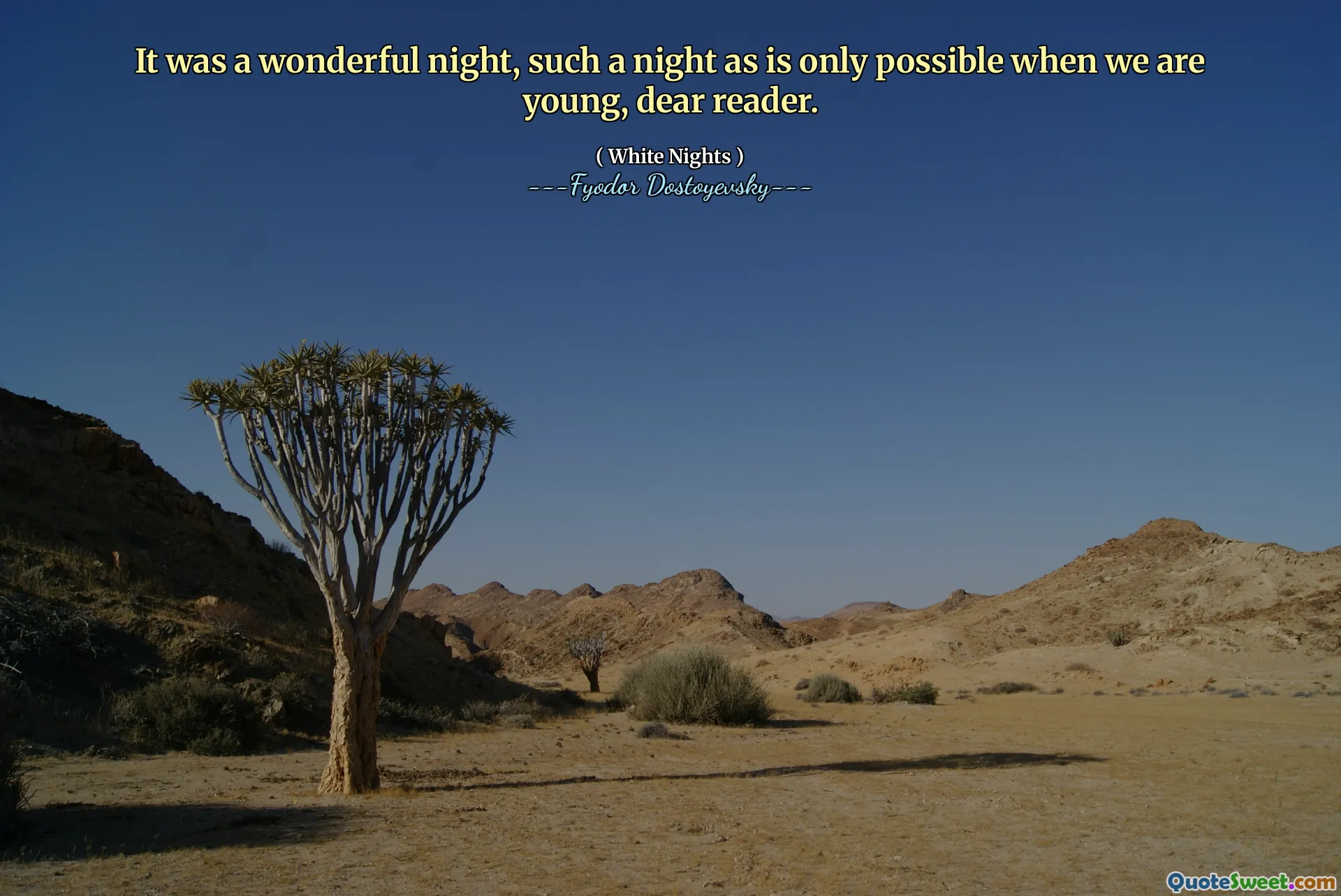 It was a wonderful night, such a night as is only possible when we are young, dear reader.