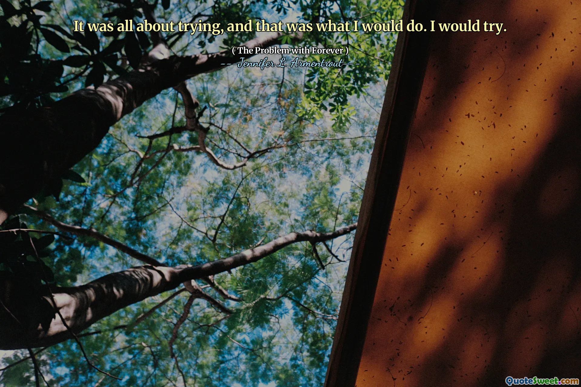 It was all about trying, and that was what I would do. I would try.