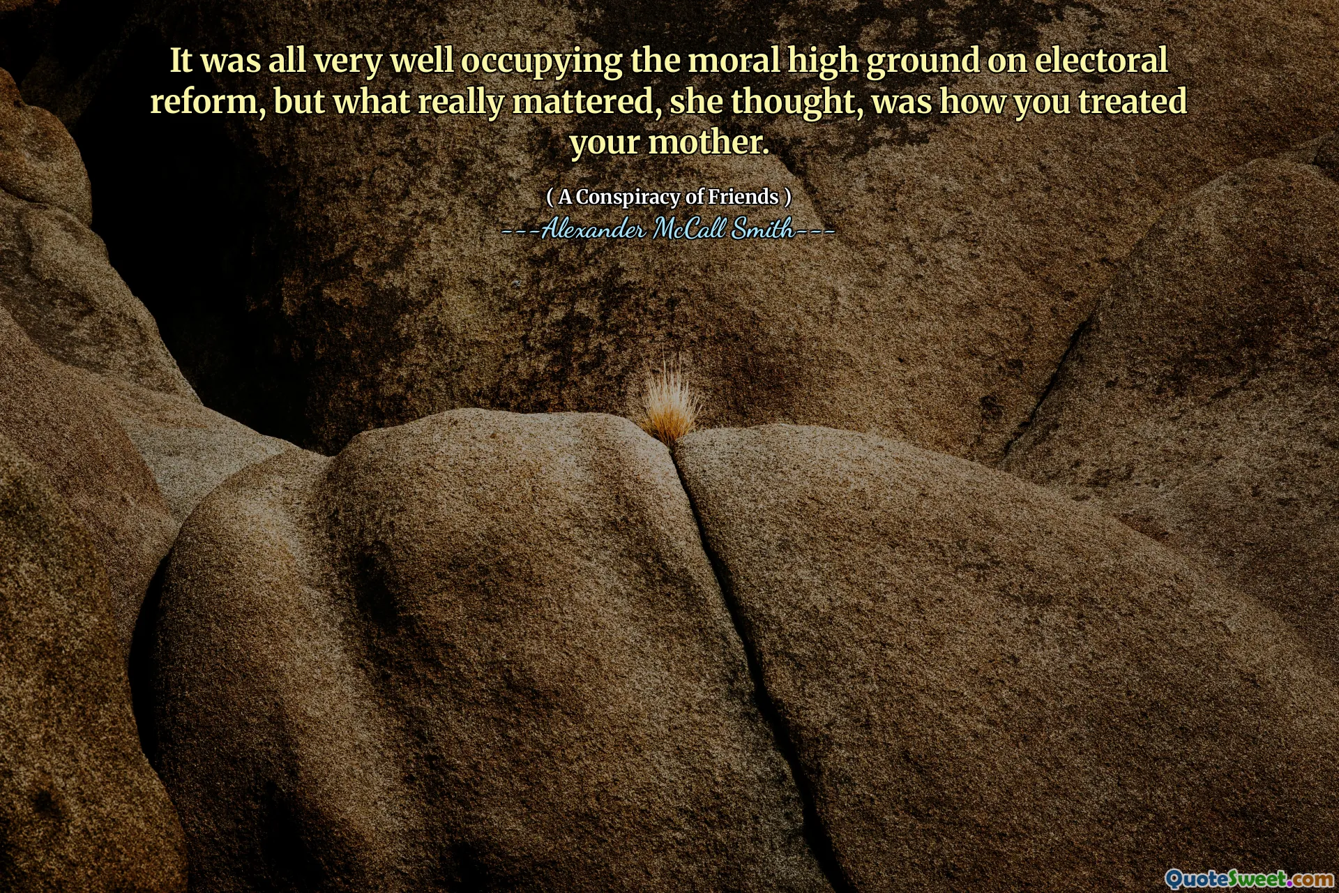 Det hela var mycket väl ockuperade den moraliska höga grunden för valreformen, men det som verkligen spelade någon roll, tänkte hon, var hur du behandlade din mamma.