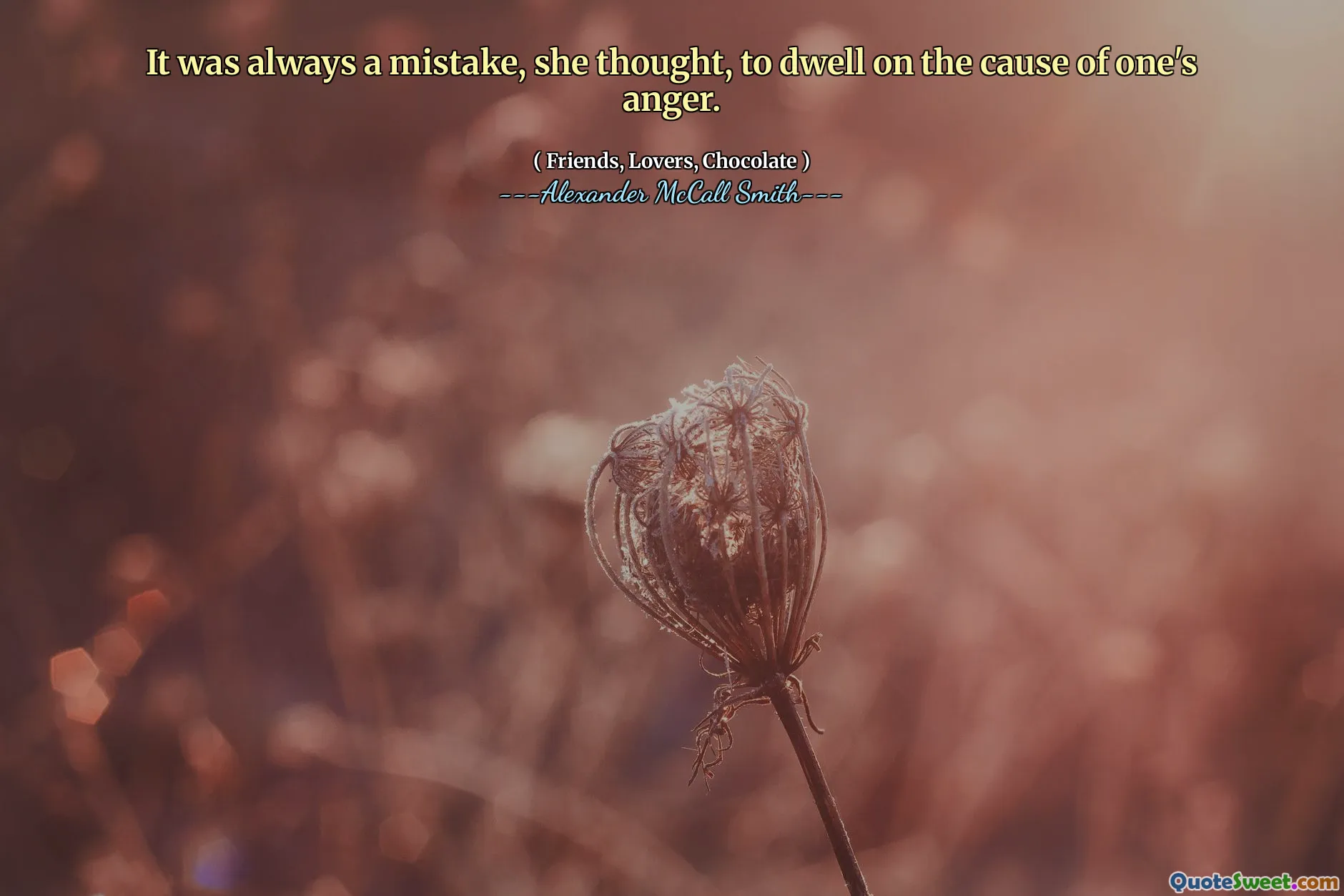 यह हमेशा एक गलती थी, उसने सोचा, किसी के गुस्से के कारण पर ध्यान देना।