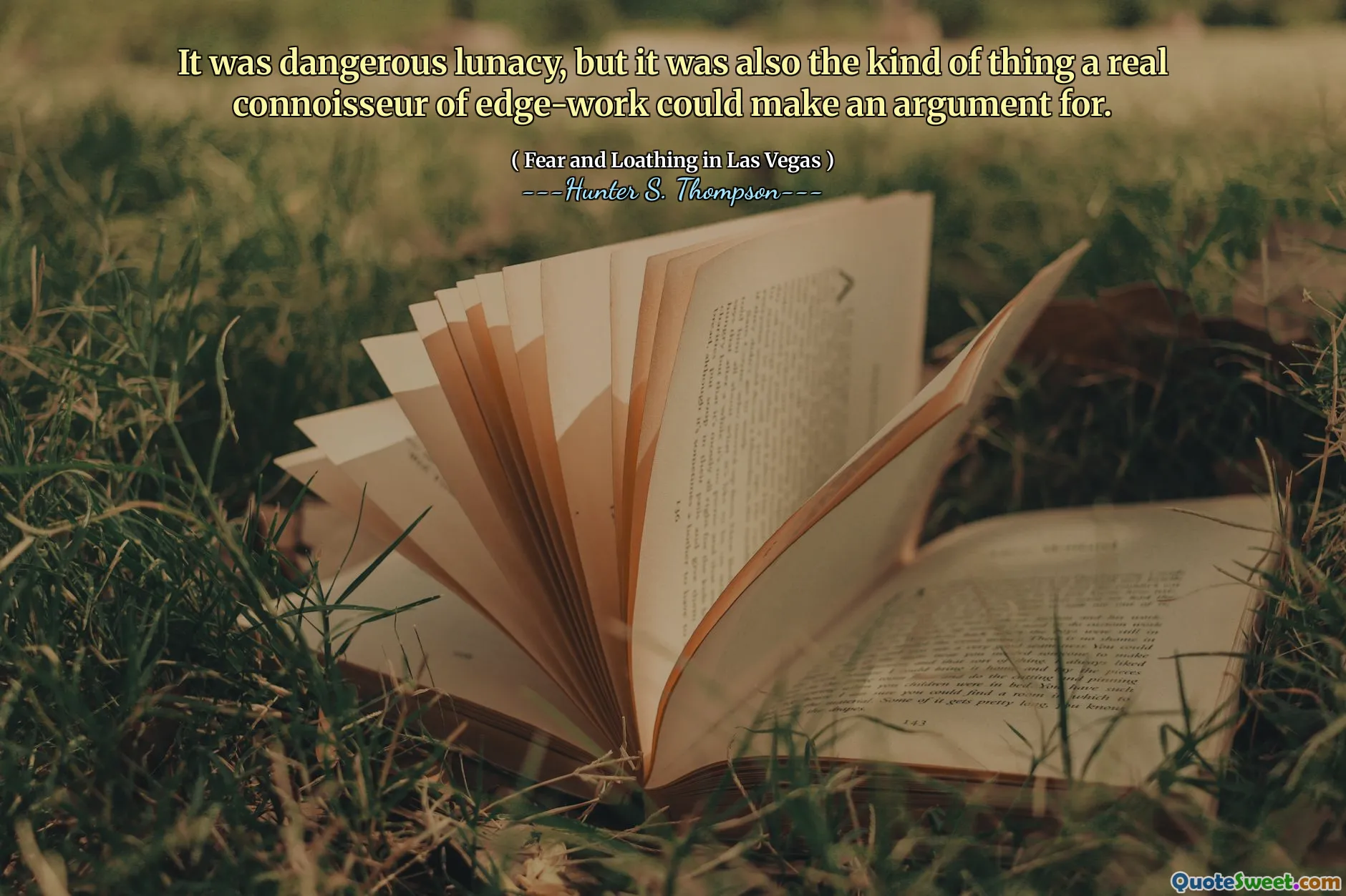 这是危险的疯子，但这也是Edge-Work的真正鉴赏家可以争论的一种事情。