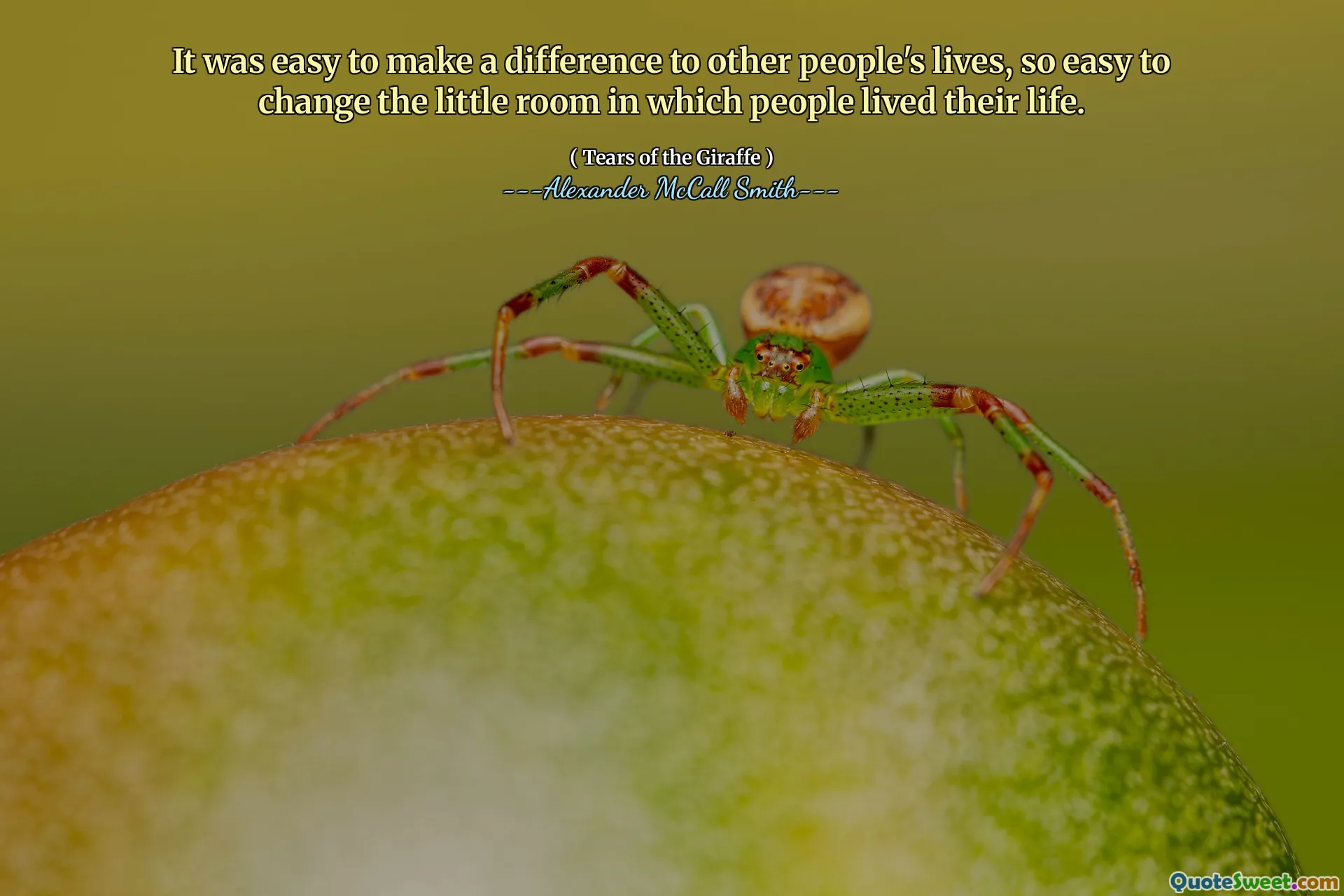 Bylo snadné změnit život ostatních lidí, tak snadné změnit malou místnost, ve které lidé žili svůj život.