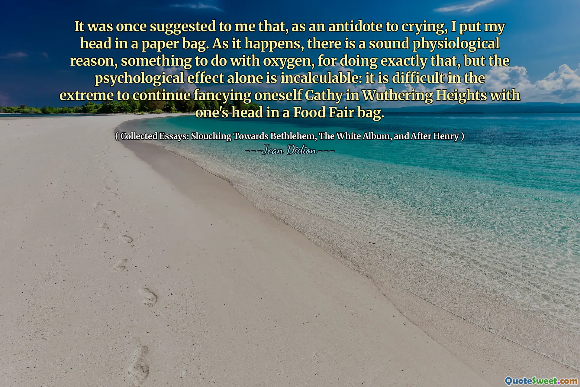 It was once suggested to me that, as an antidote to crying, I put my head in a paper bag. As it happens, there is a sound physiological reason, something to do with oxygen, for doing exactly that, but the psychological effect alone is incalculable: it is difficult in the extreme to continue fancying oneself Cathy in Wuthering Heights with one's head in a Food Fair bag.