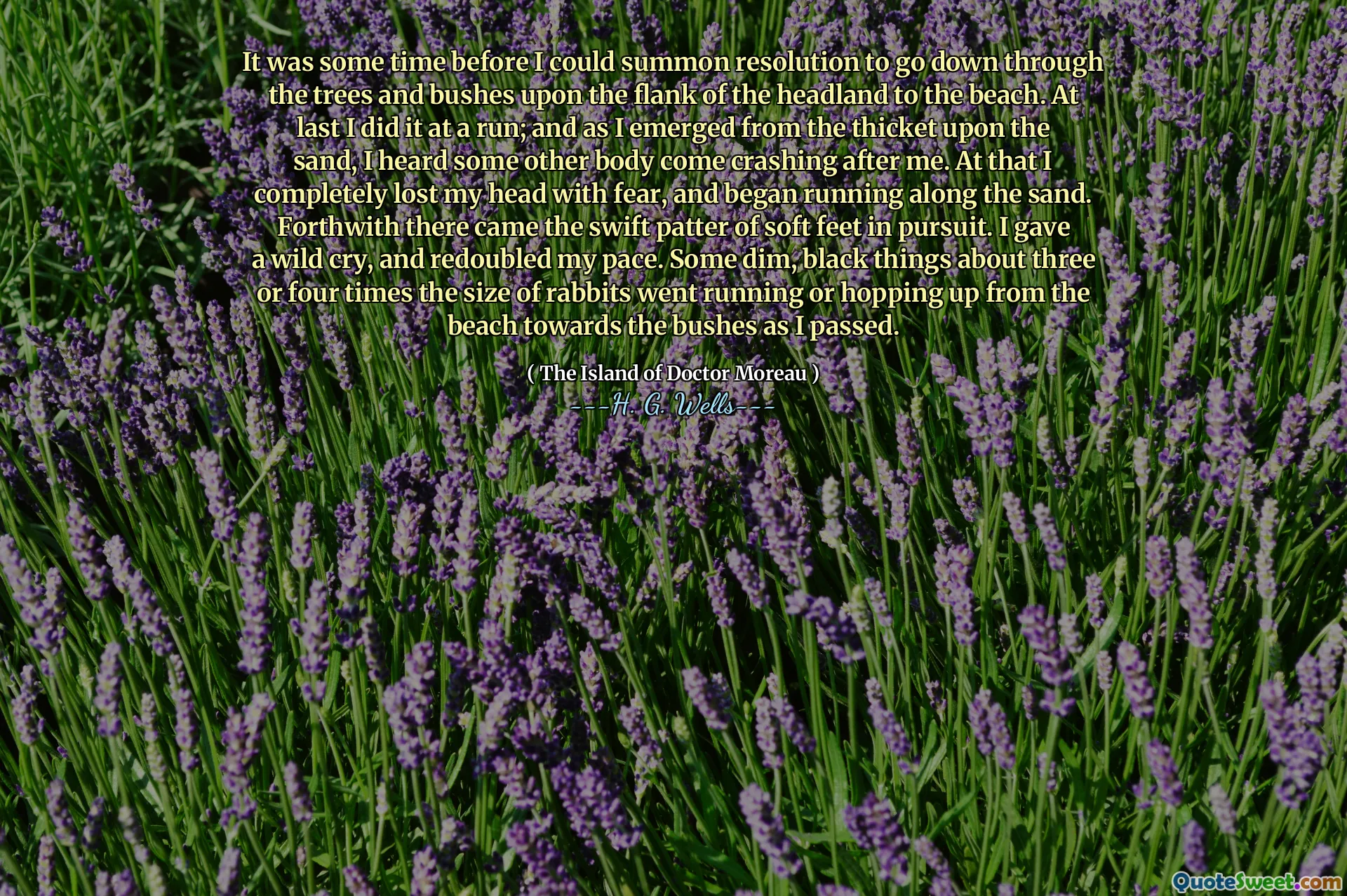 It was some time before I could summon resolution to go down through the trees and bushes upon the flank of the headland to the beach. At last I did it at a run; and as I emerged from the thicket upon the sand, I heard some other body come crashing after me. At that I completely lost my head with fear, and began running along the sand. Forthwith there came the swift patter of soft feet in pursuit. I gave a wild cry, and redoubled my pace. Some dim, black things about three or four times the size of rabbits went running or hopping up from the beach towards the bushes as I passed.