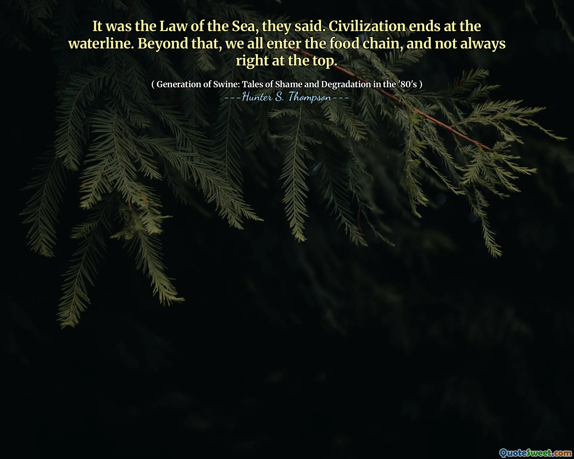 他们说，这是大海的法律。文明在水线结束。除此之外，我们所有人都进入了食物链，并不总是在顶部。