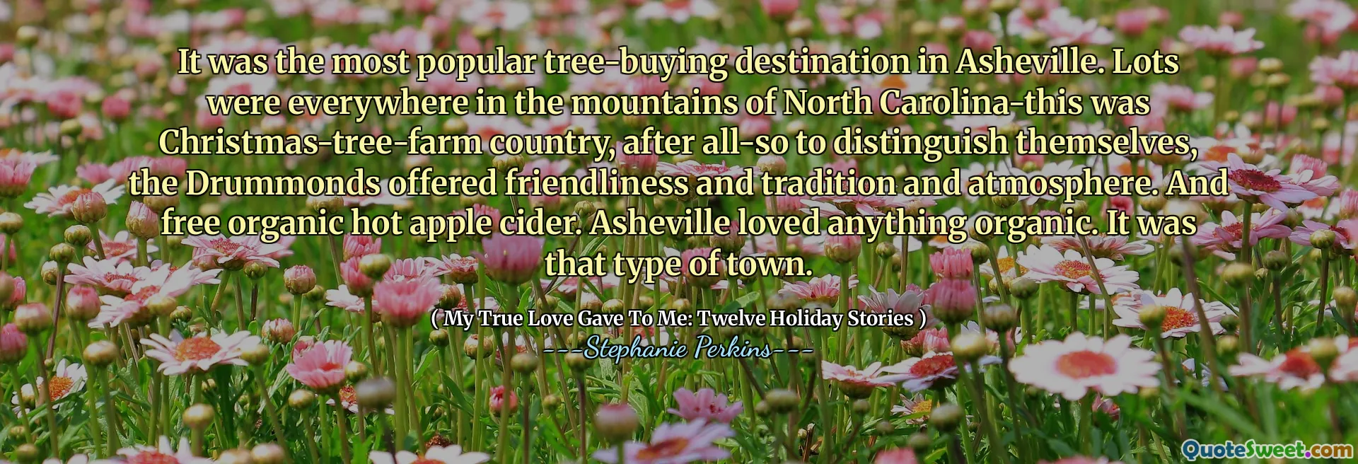 It was the most popular tree-buying destination in Asheville. Lots were everywhere in the mountains of North Carolina-this was Christmas-tree-farm country, after all-so to distinguish themselves, the Drummonds offered friendliness and tradition and atmosphere. And free organic hot apple cider. Asheville loved anything organic. It was that type of town.