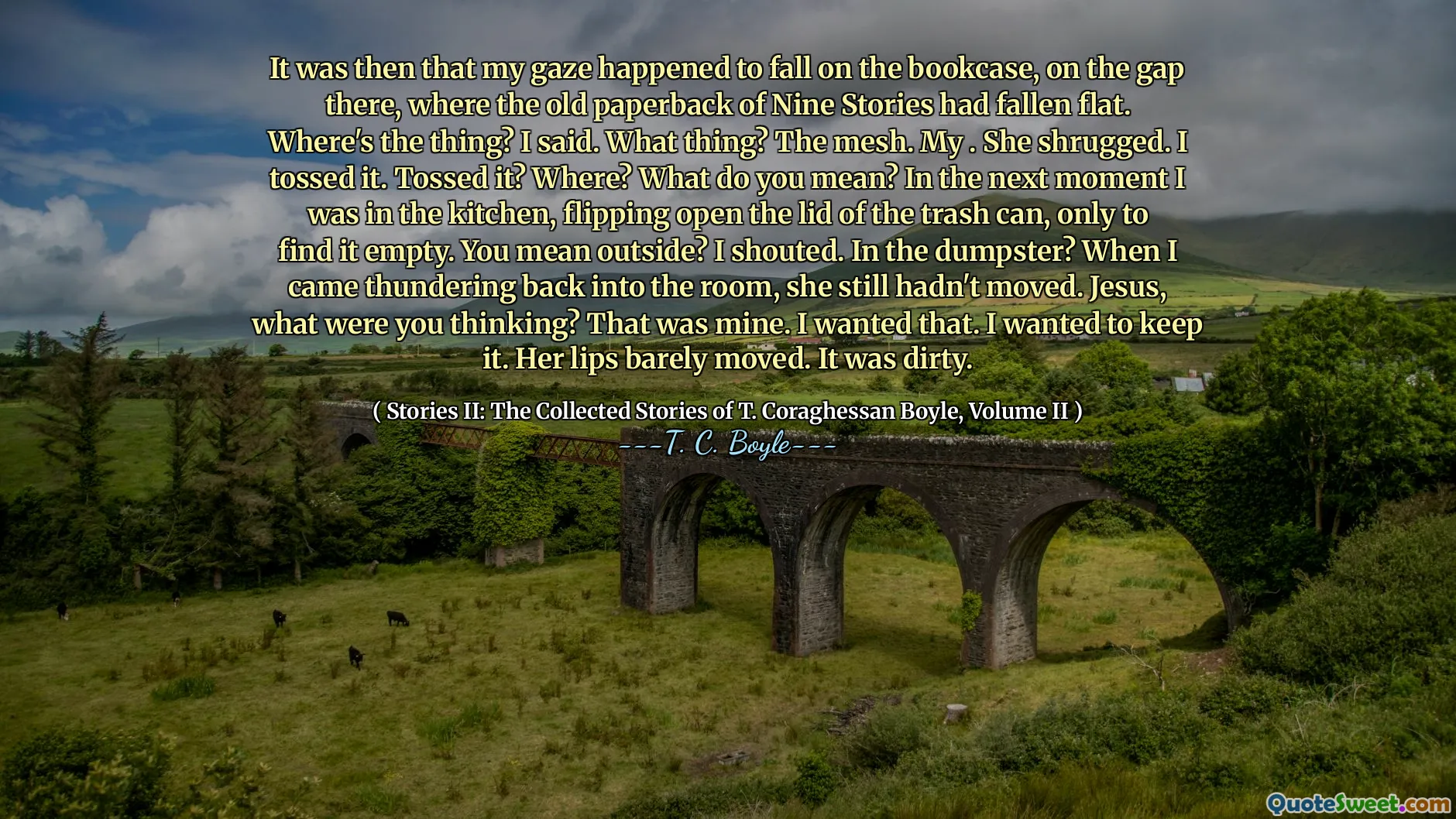 Det var då mitt blick råkade på bokhyllan, på klyftan där, där den gamla pocketboken med nio berättelser hade fallit platt. Var är saken? Sa jag. Vilken sak? Nätet. Min. Hon ryckte på axlarna. Jag kastade det. Kastade det? Där? Vad menar du? I nästa ögonblick var jag i köket och öppnade locket på papperskorgen, bara för att hitta det tomt. Menar du ute? Jag ropade. I dumpster? När jag kom åskande tillbaka in i rummet hade hon fortfarande inte flyttat. Jesus, vad tänkte du? Det var mitt. Jag ville ha det. Jag ville behålla det. Hennes läppar rörde sig knappt. Det var smutsigt.