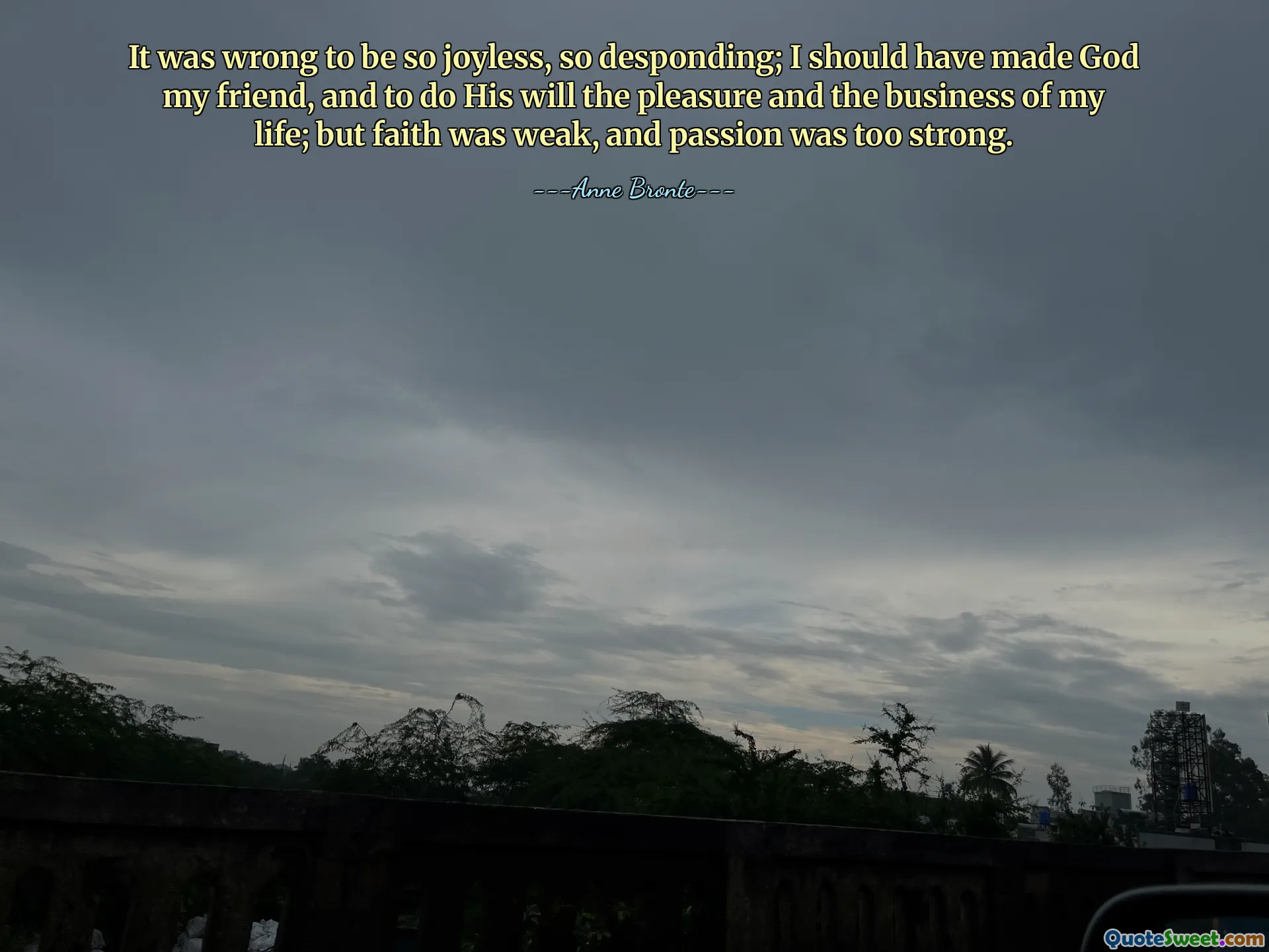 It was wrong to be so joyless, so desponding; I should have made God my friend, and to do His will the pleasure and the business of my life; but faith was weak, and passion was too strong.