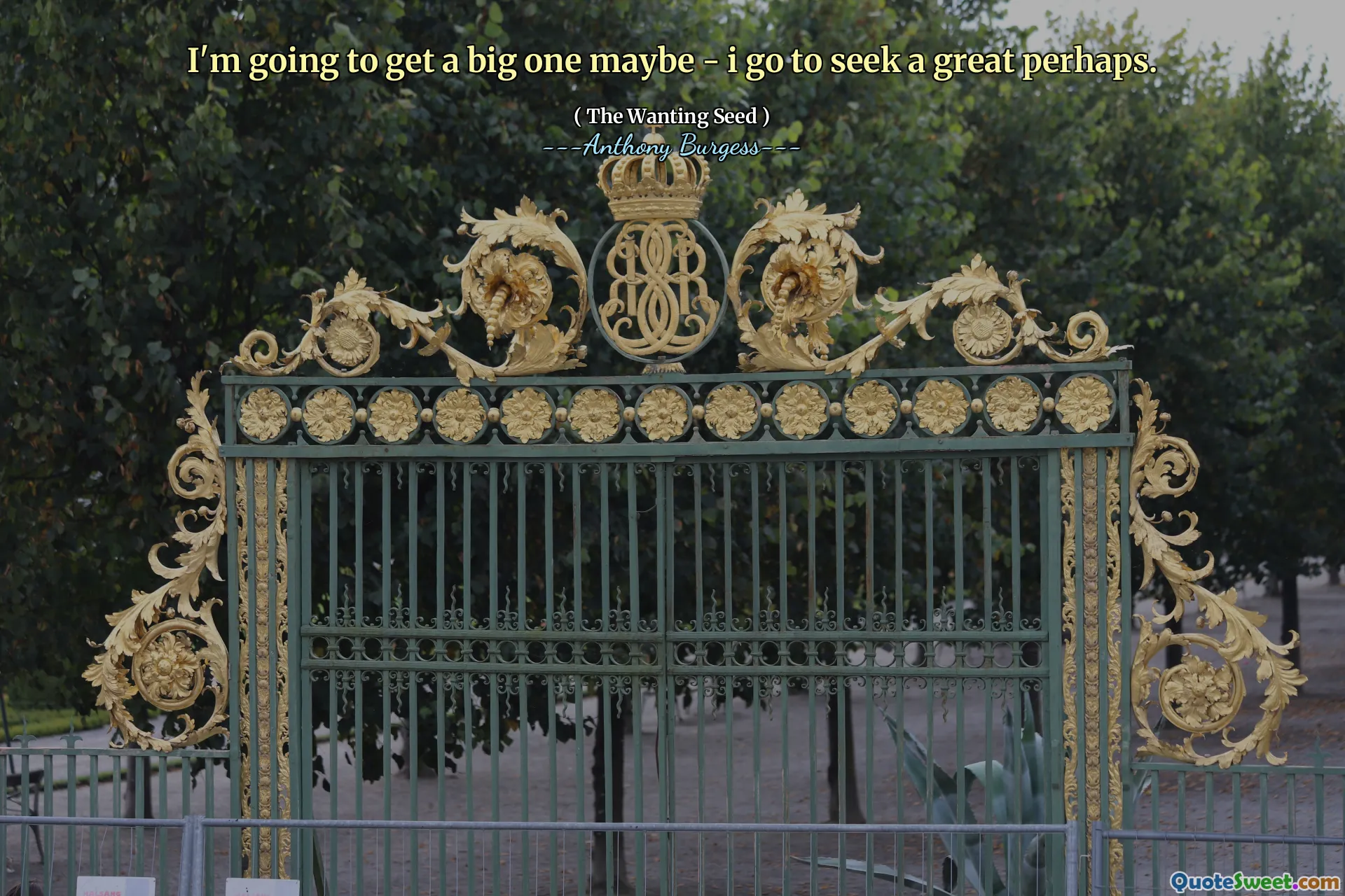 I'm going to get a big one maybe - i go to seek a great perhaps.