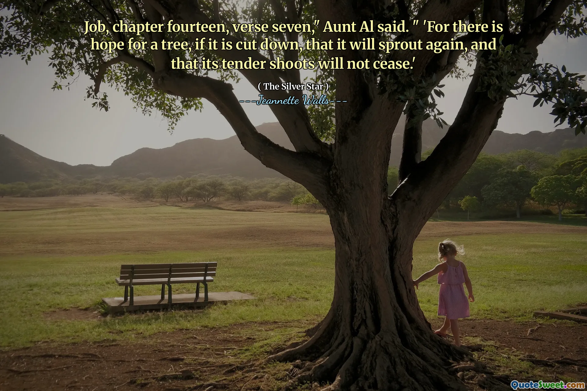 Job, chapter fourteen, verse seven," Aunt Al said. " 'For there is hope for a tree, if it is cut down, that it will sprout again, and that its tender shoots will not cease.'