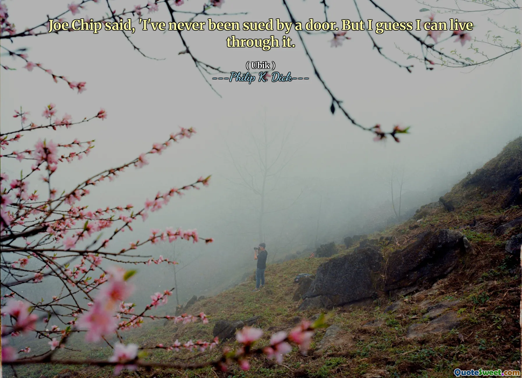 Джо Чип сказал: «Меня никогда не предъявляла иск дверь. Но я думаю, что могу прожить это.