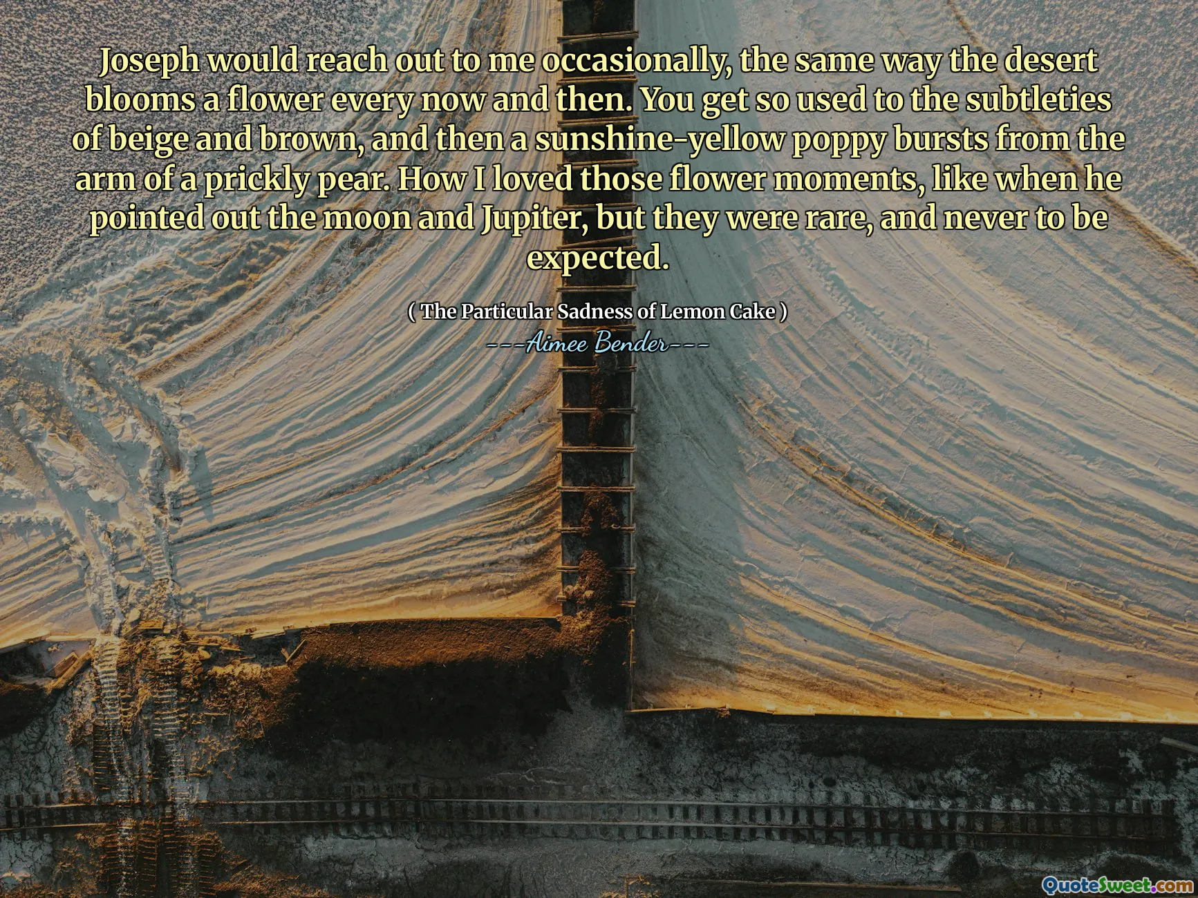 Iosif va ajunge la mine ocazional, la fel cum deșertul înflorește o floare din când în când. Te obișnuiești atât de mult cu subtilitățile de bej și maro, iar apoi un mac de culoare galben-soare izbucnește de la brațul unei pere înțepenite. Cum mi -au plăcut acele momente de flori, ca atunci când a subliniat Luna și Jupiter, dar erau rare și nu era niciodată de așteptat.