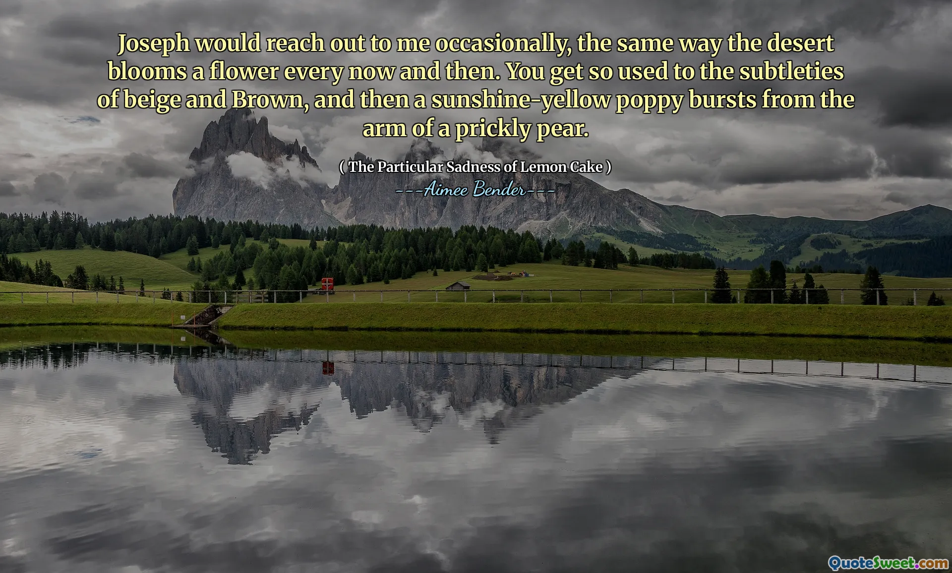 Iosif va ajunge la mine ocazional, la fel cum deșertul înflorește o floare din când în când. Te obișnuiești atât de mult cu subtilitățile de bej și maro, iar apoi un mac de culoare galben-soare izbucnește de la brațul unei pere înțepenite.