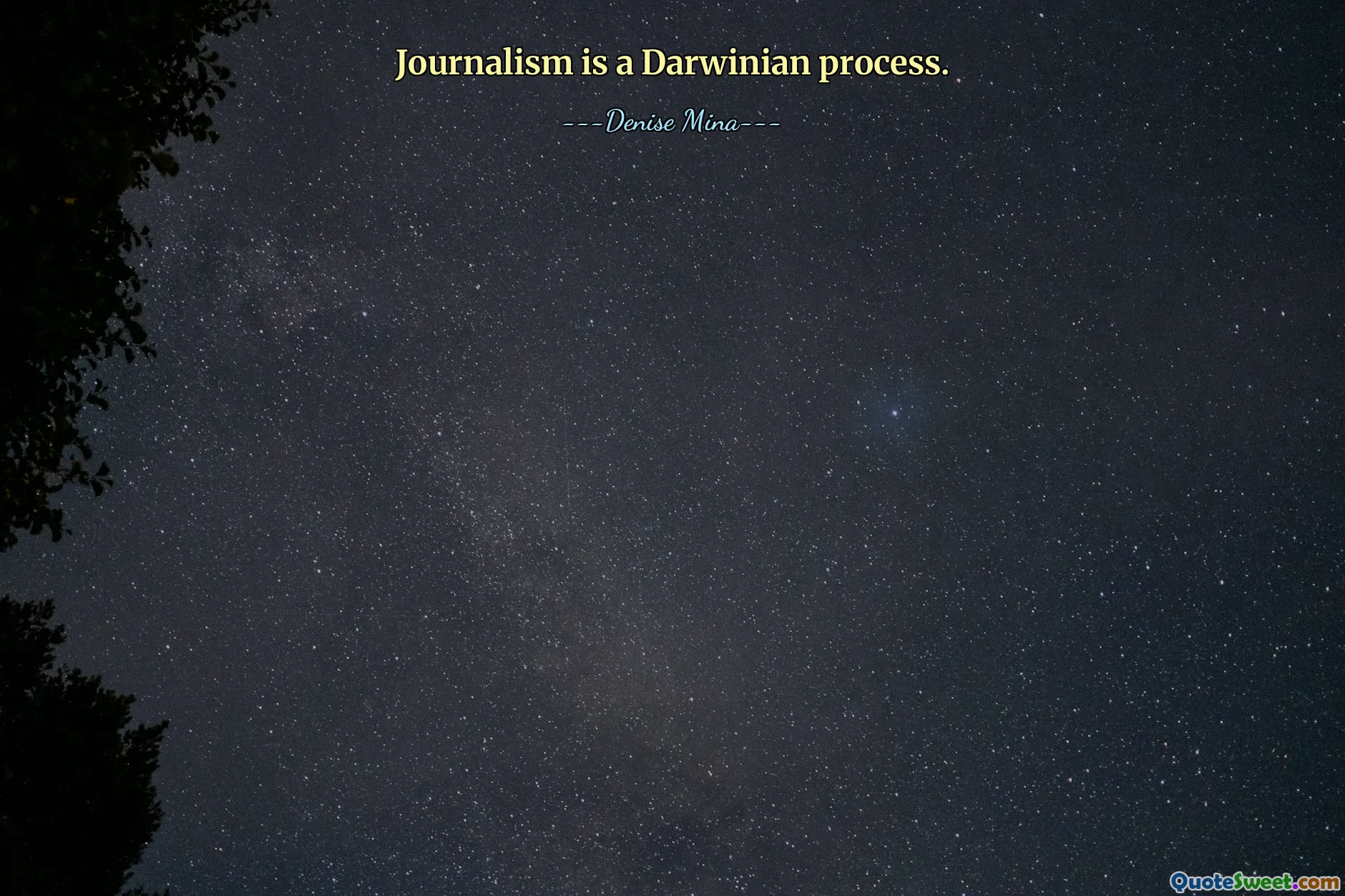 Journalism is a Darwinian process.