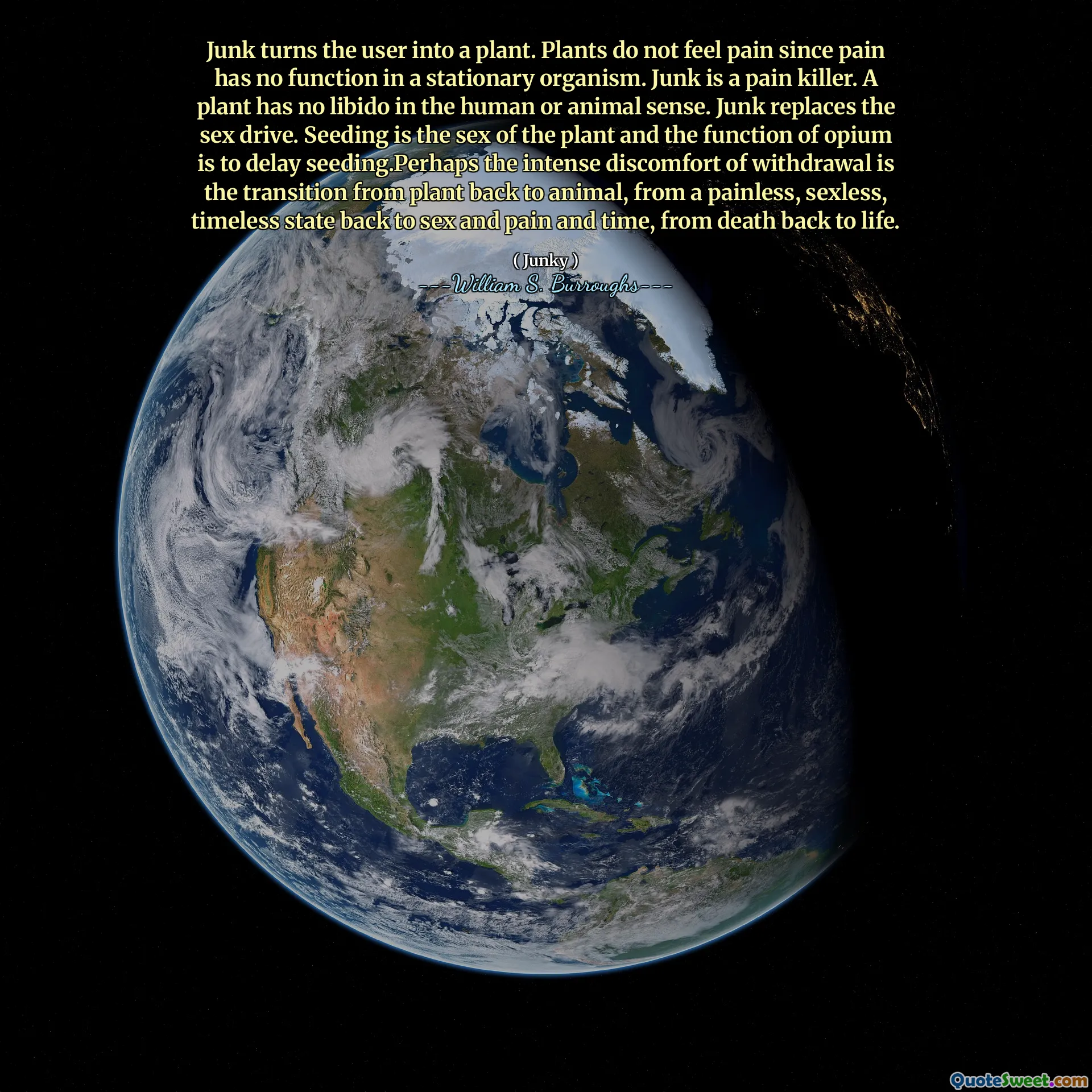 垃圾将用户变成工厂。植物不会感到疼痛，因为疼痛在固定生物中没有功能。垃圾是一个止痛药。植物在人类或动物意义上没有性欲。垃圾取代了性欲。播种是植物的性别，鸦片的功能是延迟播种。也许戒断的强烈不适是从植物恢复到动物的过渡，从无痛，无性别，永恒的状态恢复到性与痛苦和痛苦和时间，从死亡到生命。