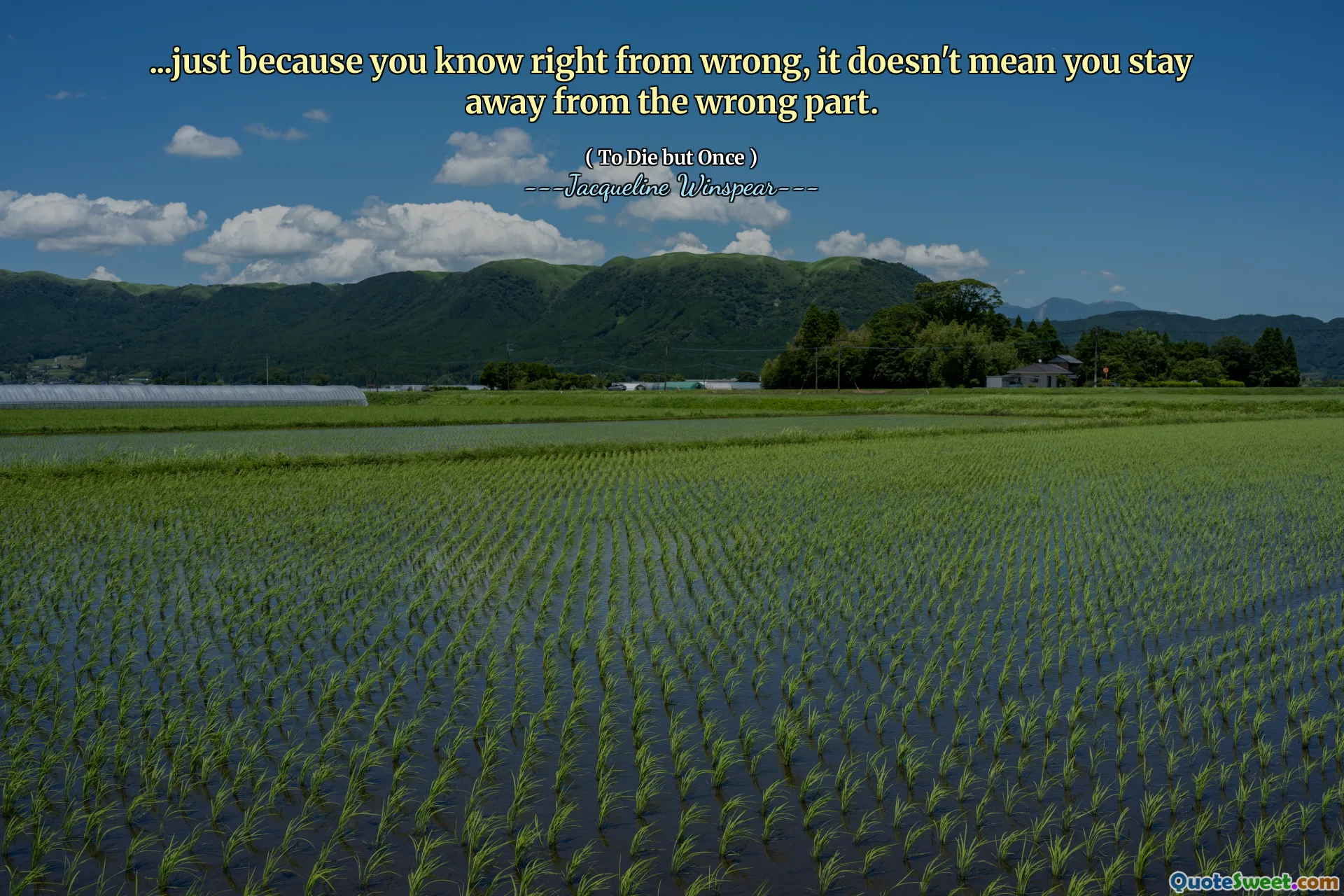 ...just because you know right from wrong, it doesn't mean you stay away from the wrong part.