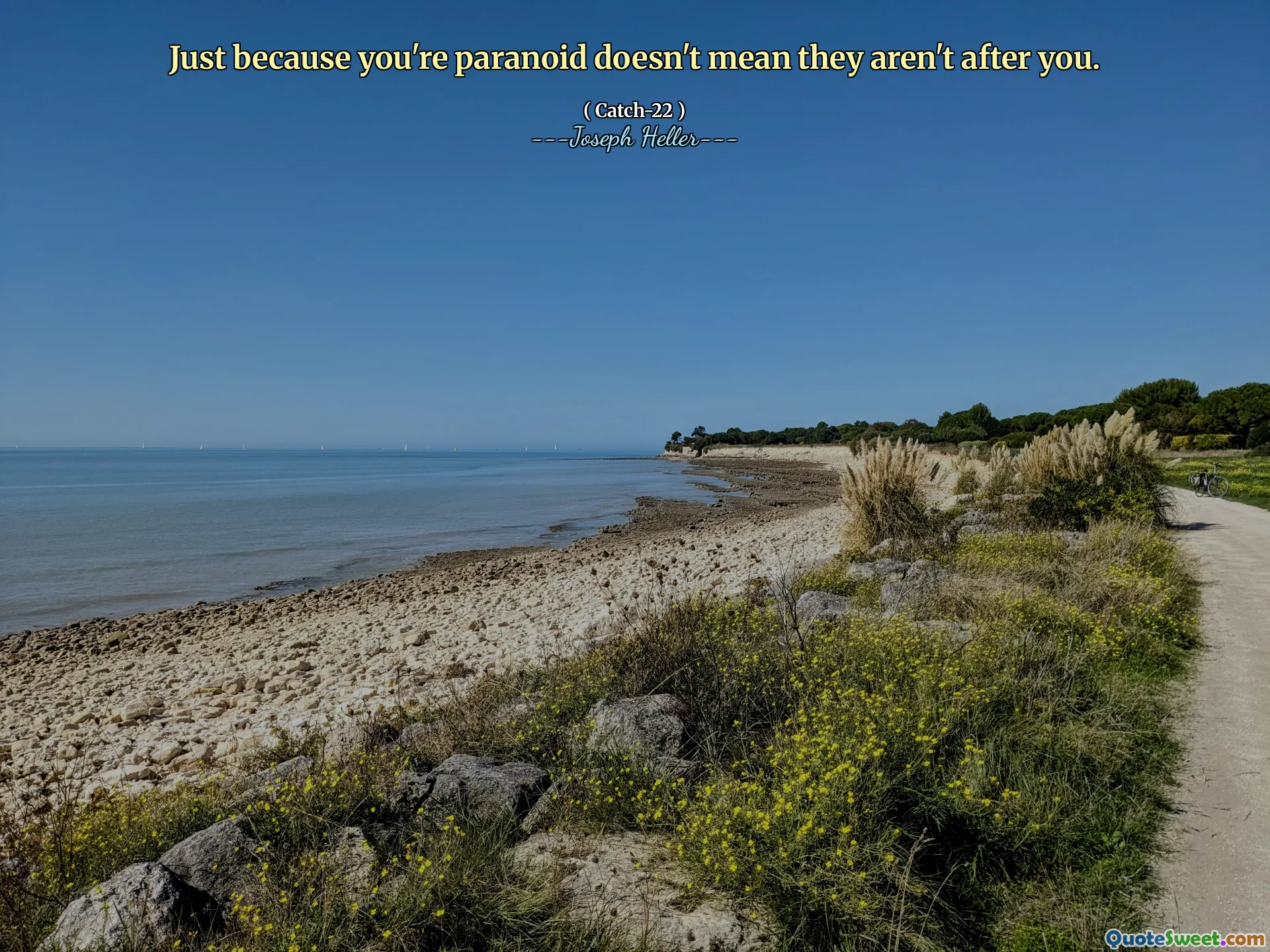 仅仅因为您偏执并不意味着他们并不追随​​您。