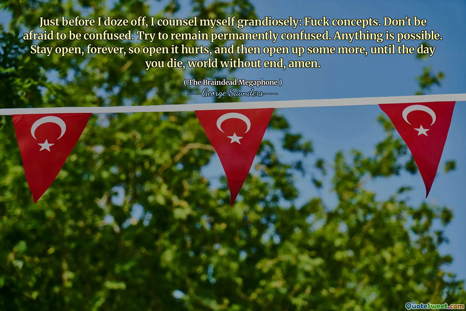 Just before I doze off, I counsel myself grandiosely: Fuck concepts. Don't be afraid to be confused. Try to remain permanently confused. Anything is possible. Stay open, forever, so open it hurts, and then open up some more, until the day you die, world without end, amen.