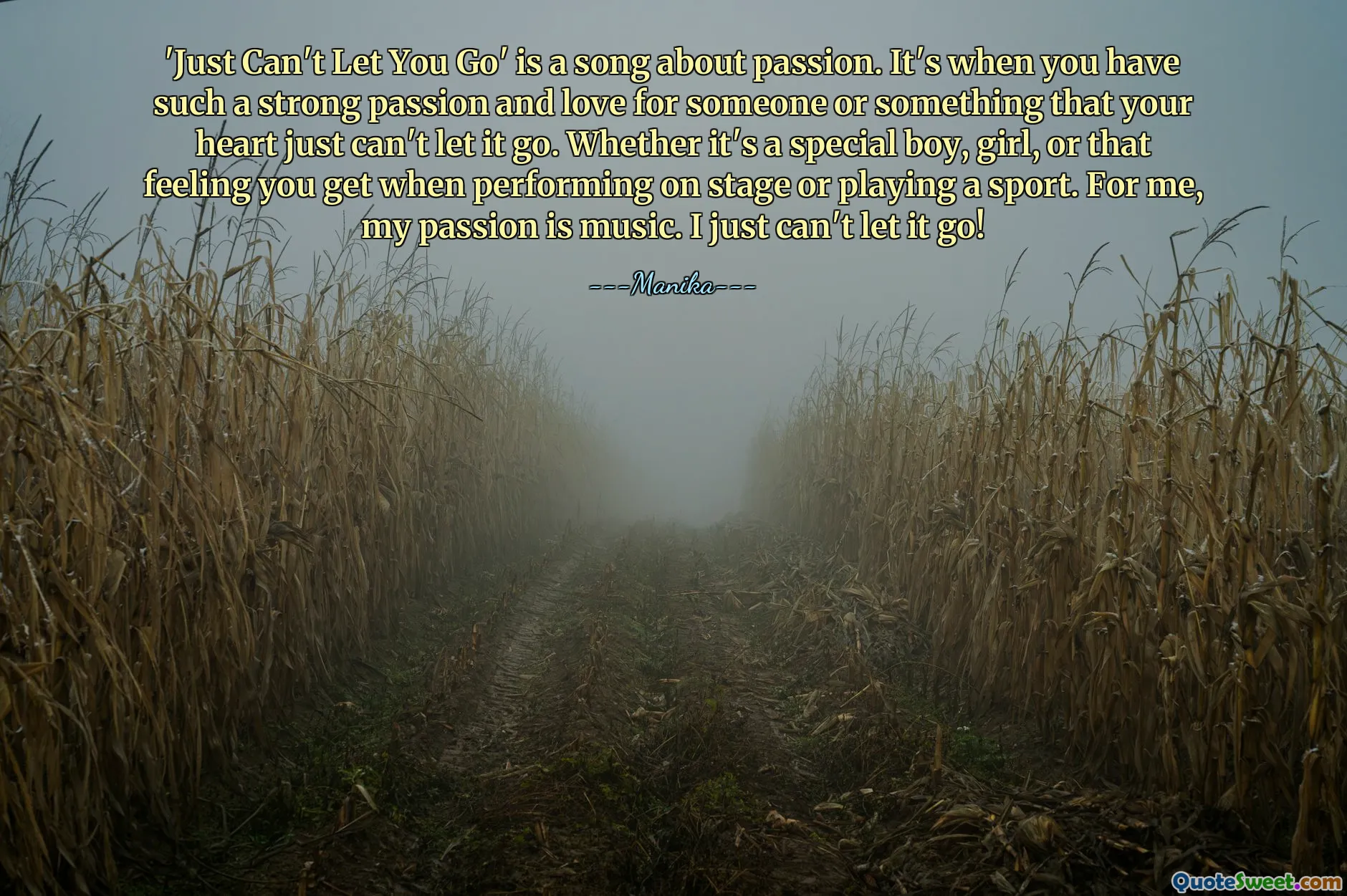 'Just Can't Let You Go' is a song about passion. It's when you have such a strong passion and love for someone or something that your heart just can't let it go. Whether it's a special boy, girl, or that feeling you get when performing on stage or playing a sport. For me, my passion is music. I just can't let it go!