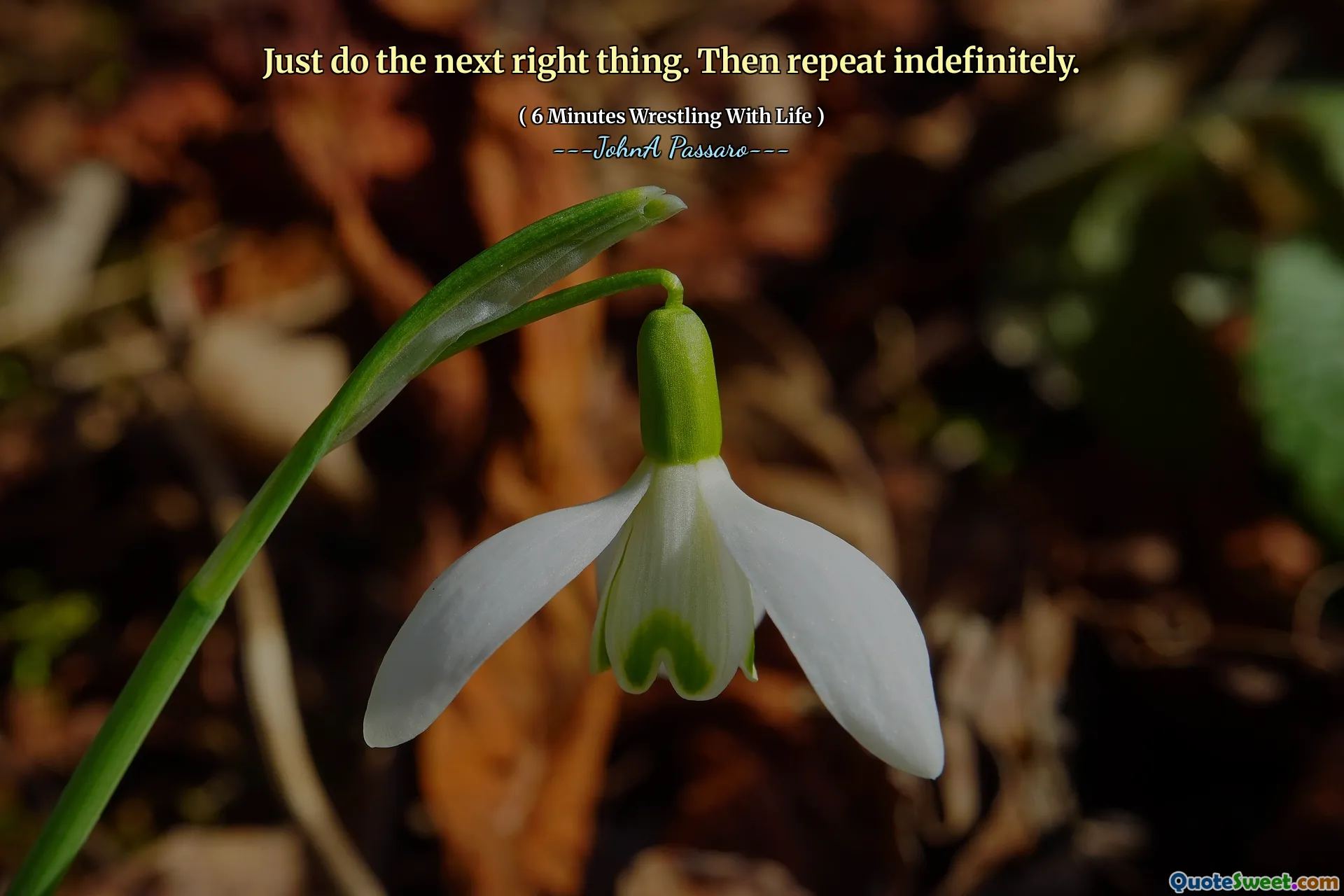 Just do the next right thing. Then repeat indefinitely.