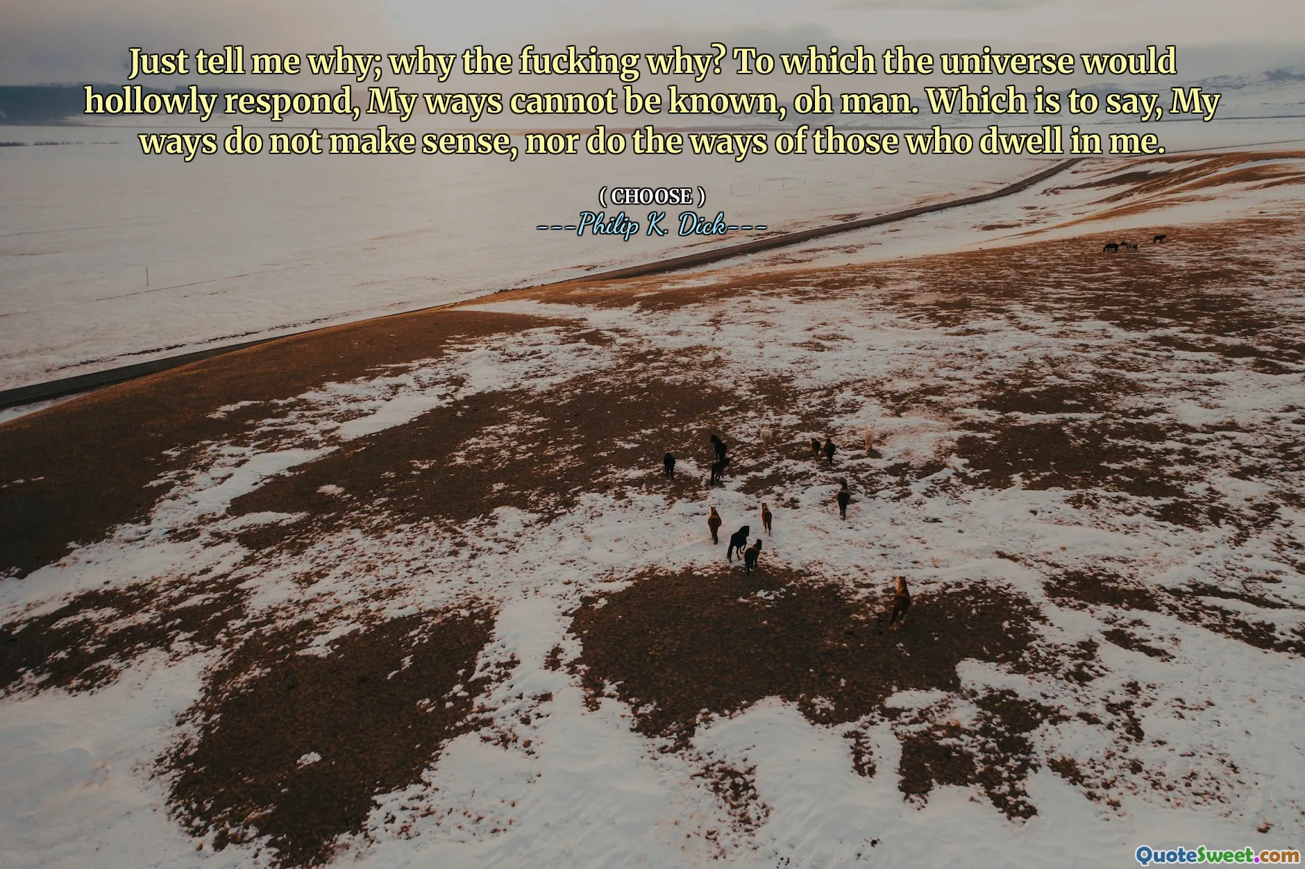 Just tell me why; why the fucking why? To which the universe would hollowly respond, My ways cannot be known, oh man. Which is to say, My ways do not make sense, nor do the ways of those who dwell in me.