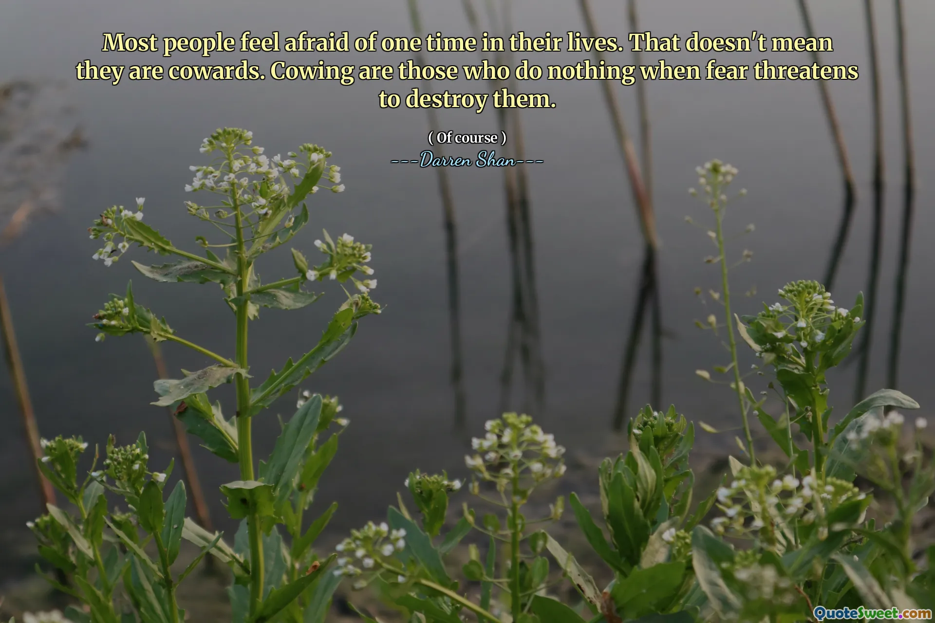 Most people feel afraid of one time in their lives. That doesn't mean they are cowards. Cowing are those who do nothing when fear threatens to destroy them.