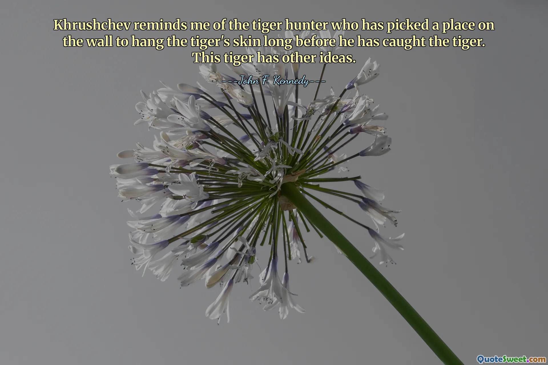 Khrushchev reminds me of the tiger hunter who has picked a place on the wall to hang the tiger's skin long before he has caught the tiger. This tiger has other ideas.