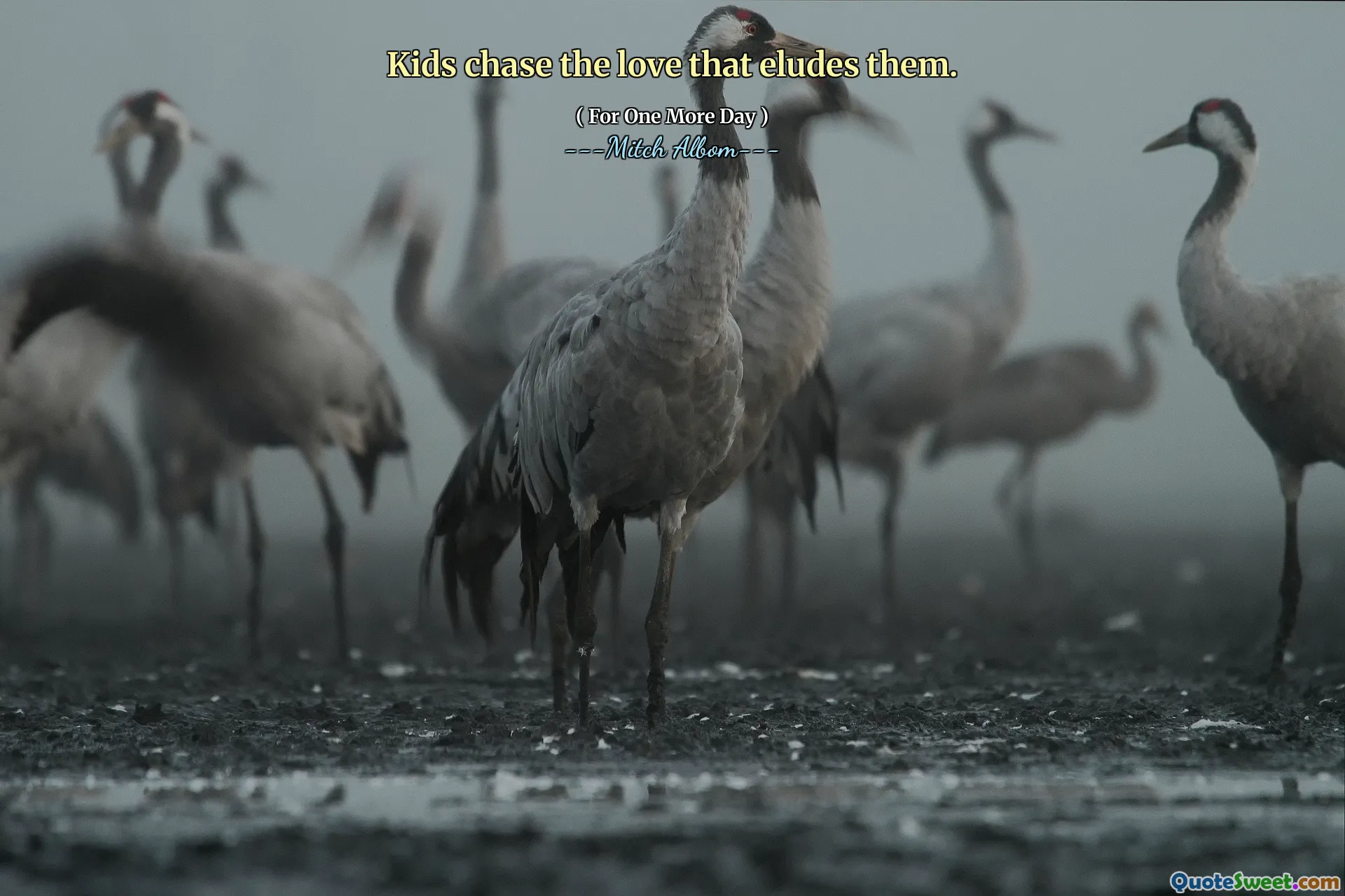 बच्चे उस प्यार का पीछा करते हैं जो उन्हें हटा देता है।