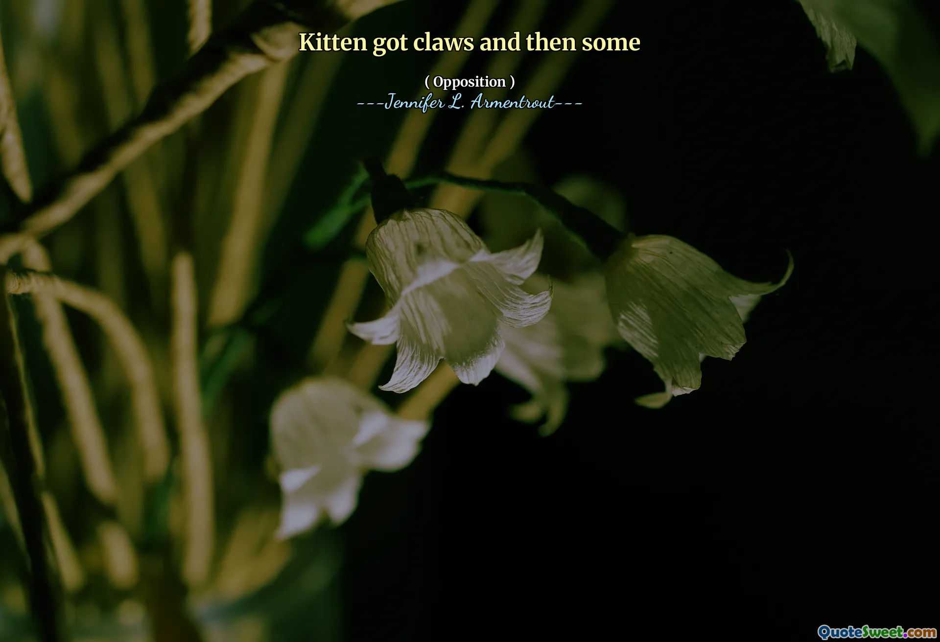 Kitten got claws and then some