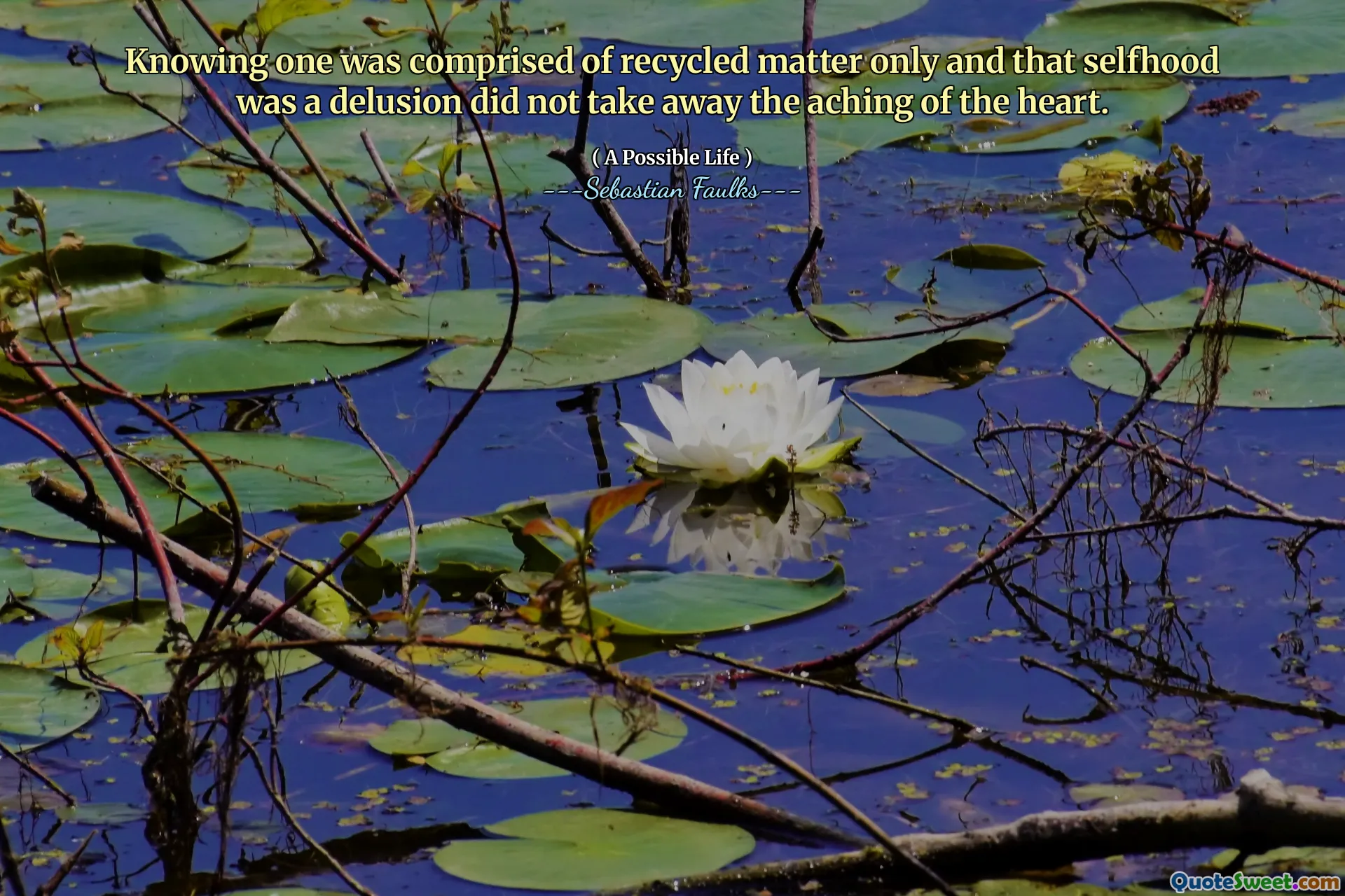 Att veta en bestod endast av återvunnet material och att självkänsla var en illusion tog inte bort värkningen av hjärtat.