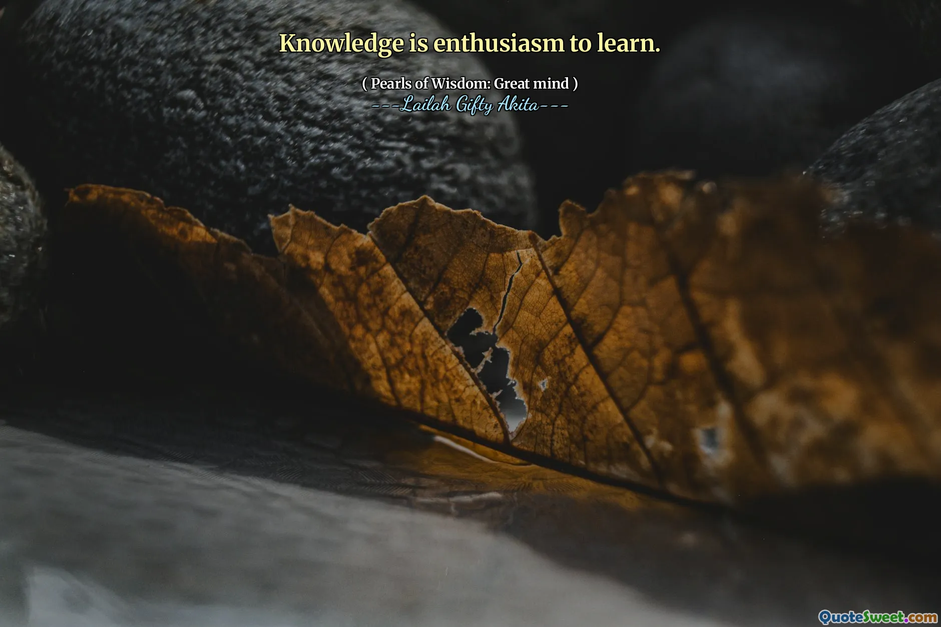 Knowledge is enthusiasm to learn.
