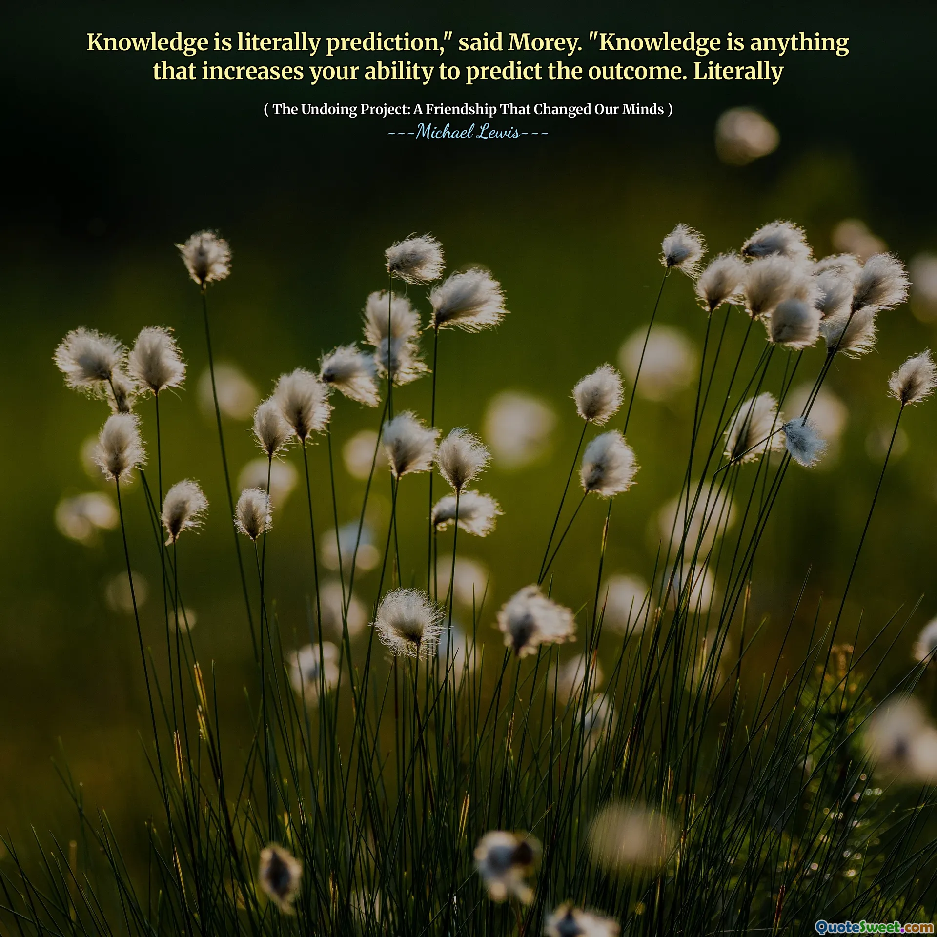 O conhecimento é literalmente previsão ", disse Morey." O conhecimento é qualquer coisa que aumente sua capacidade de prever o resultado. Literalmente