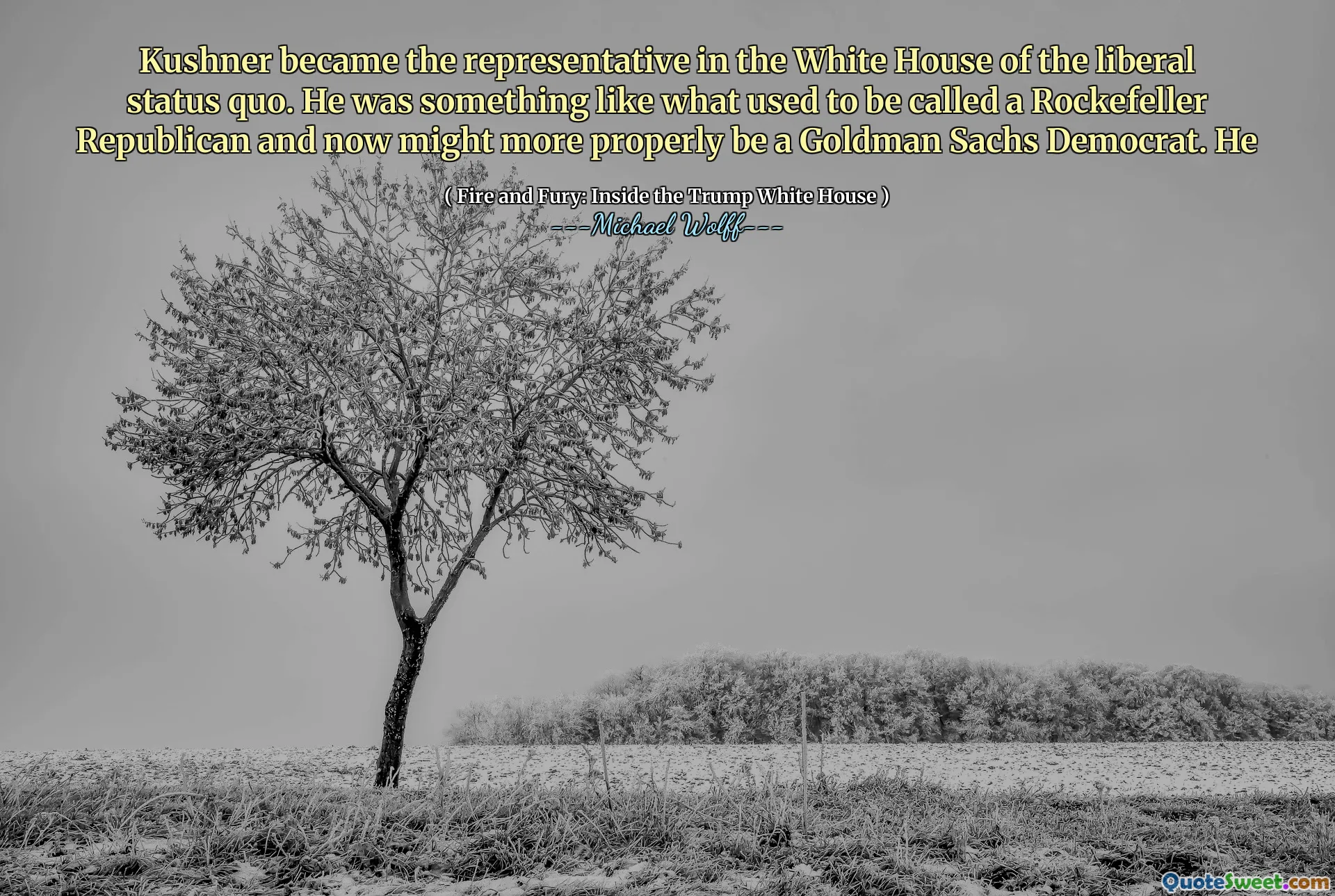 Kushner became the representative in the White House of the liberal status quo. He was something like what used to be called a Rockefeller Republican and now might more properly be a Goldman Sachs Democrat. He