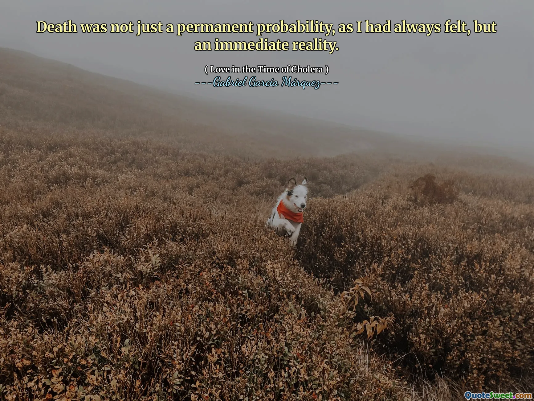 Death was not just a permanent probability, as I had always felt, but an immediate reality.