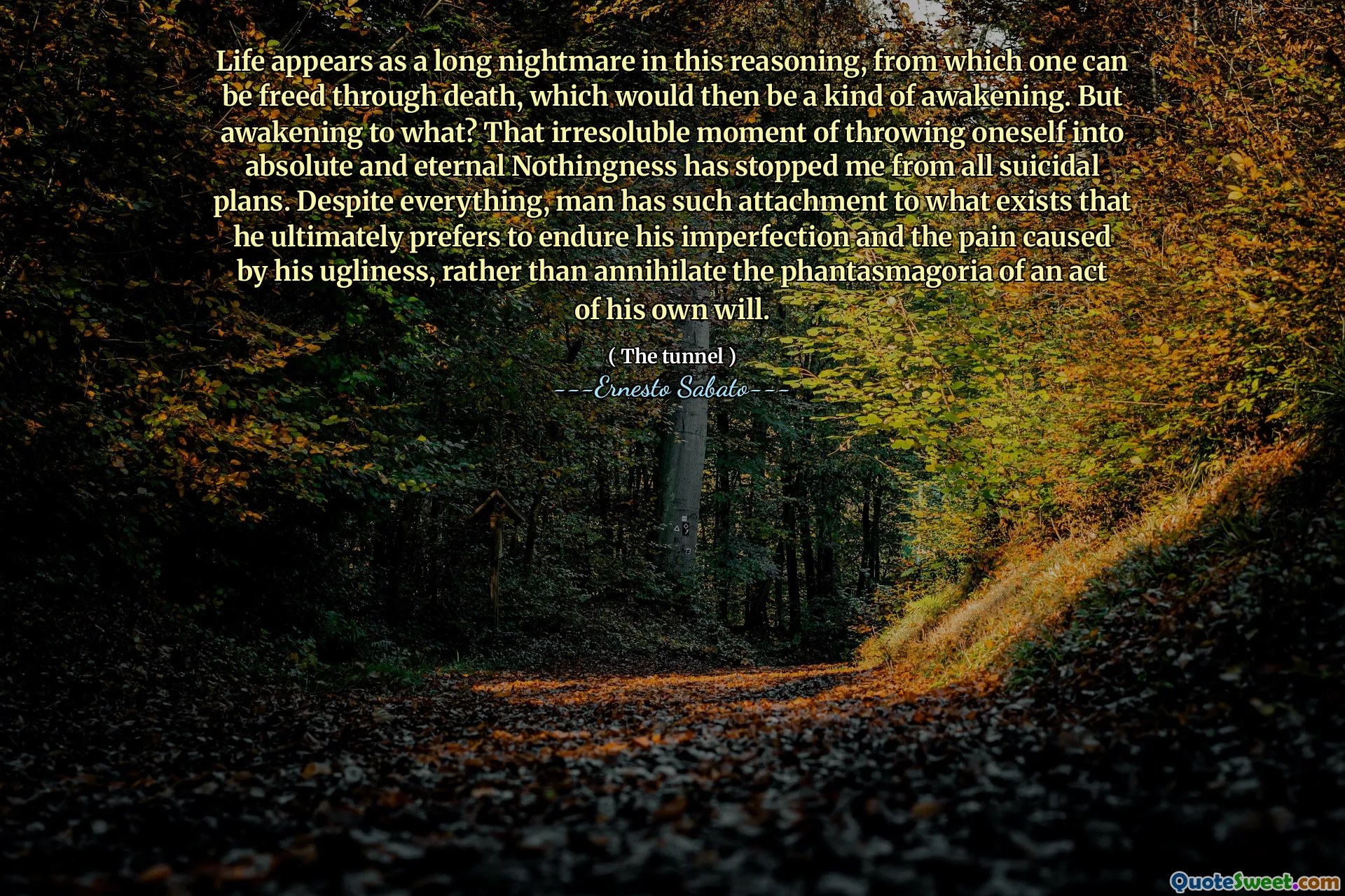 Life appears as a long nightmare in this reasoning, from which one can be freed through death, which would then be a kind of awakening. But awakening to what? That irresoluble moment of throwing oneself into absolute and eternal Nothingness has stopped me from all suicidal plans. Despite everything, man has such attachment to what exists that he ultimately prefers to endure his imperfection and the pain caused by his ugliness, rather than annihilate the phantasmagoria of an act of his own will.