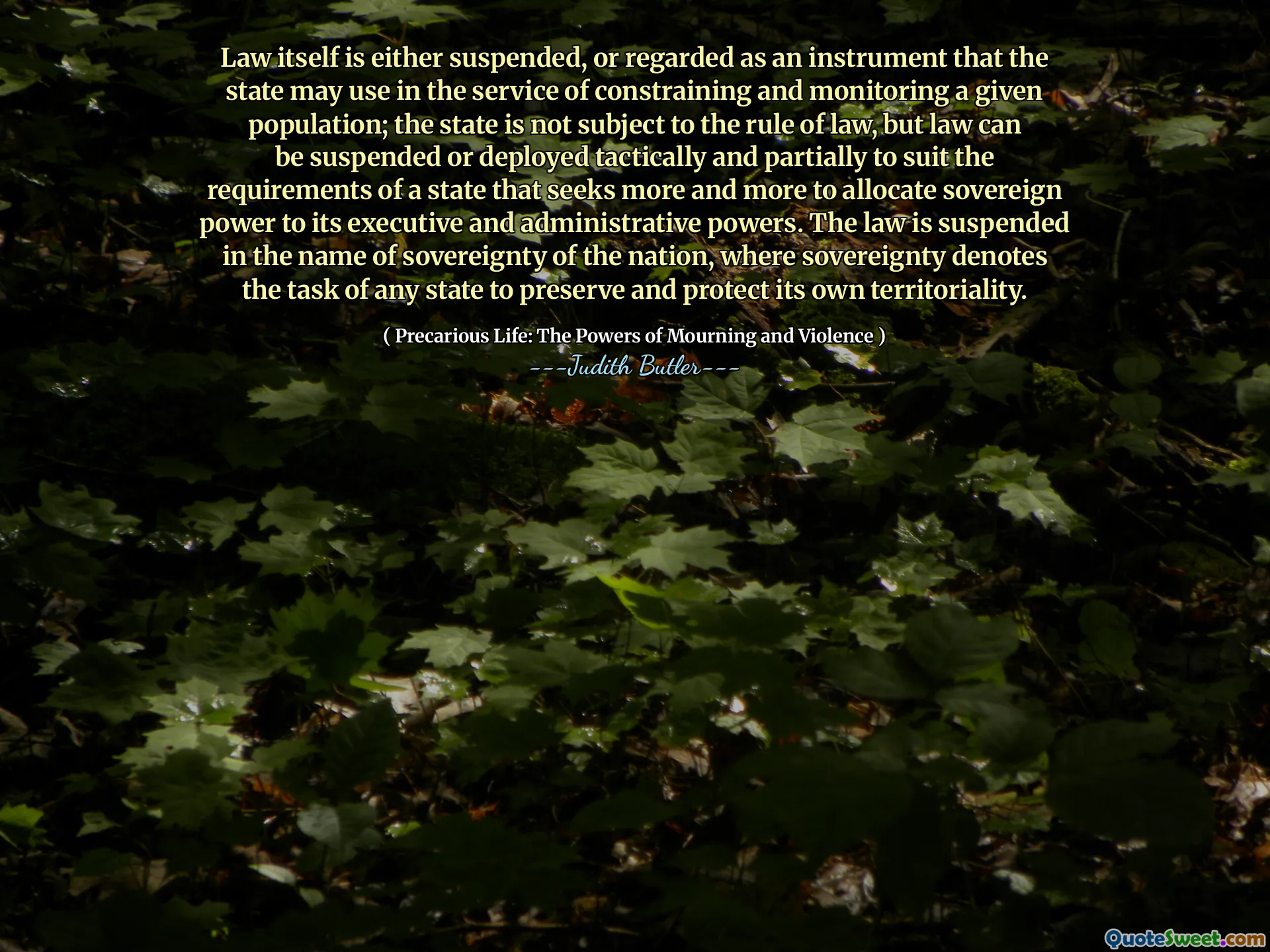 Law itself is either suspended, or regarded as an instrument that the state may use in the service of constraining and monitoring a given population; the state is not subject to the rule of law, but law can be suspended or deployed tactically and partially to suit the requirements of a state that seeks more and more to allocate sovereign power to its executive and administrative powers. The law is suspended in the name of sovereignty of the nation, where sovereignty denotes the task of any state to preserve and protect its own territoriality.