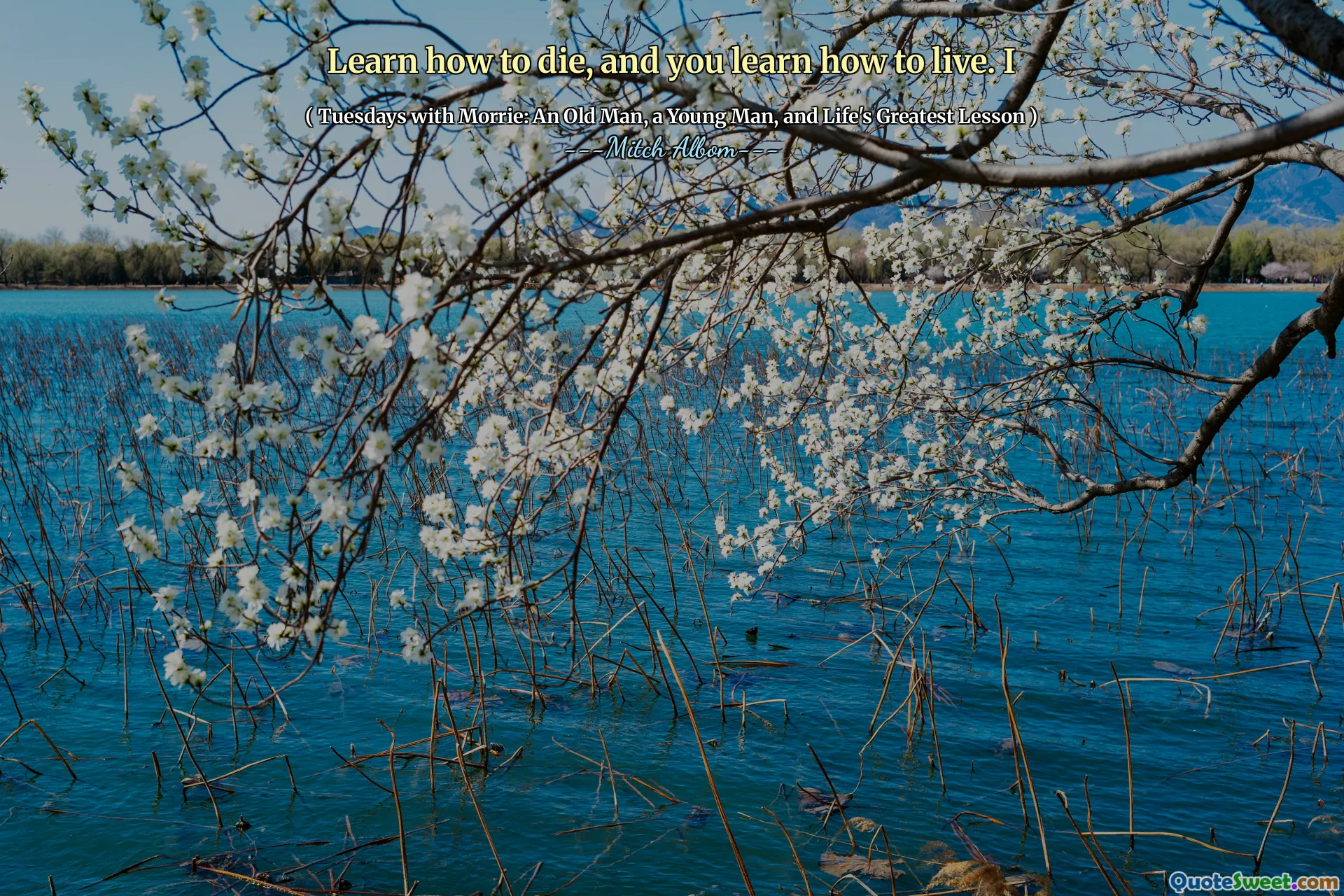 学习如何死亡，然后学习如何生活。我