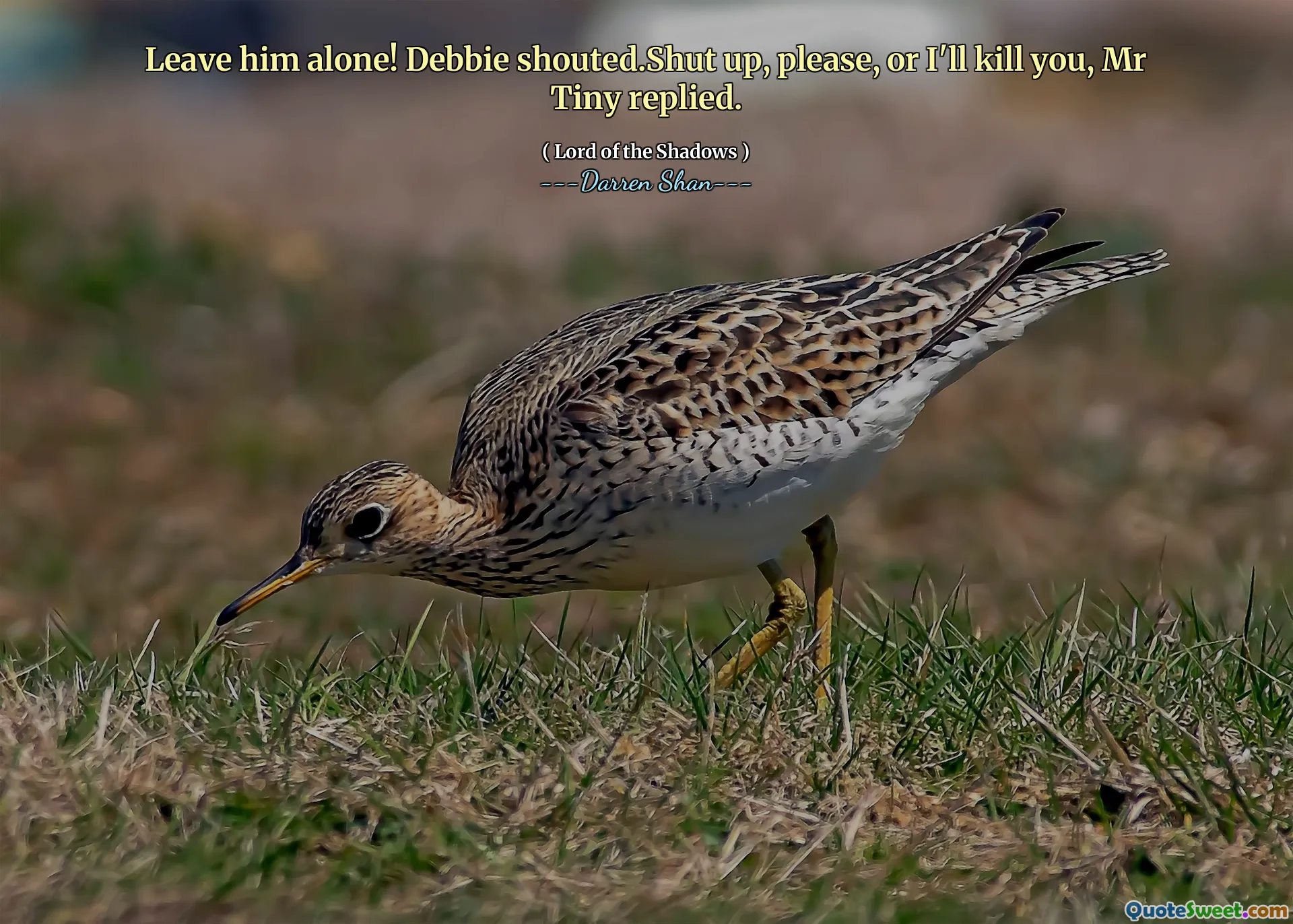 Leave him alone! Debbie shouted.Shut up, please, or I'll kill you, Mr Tiny replied.