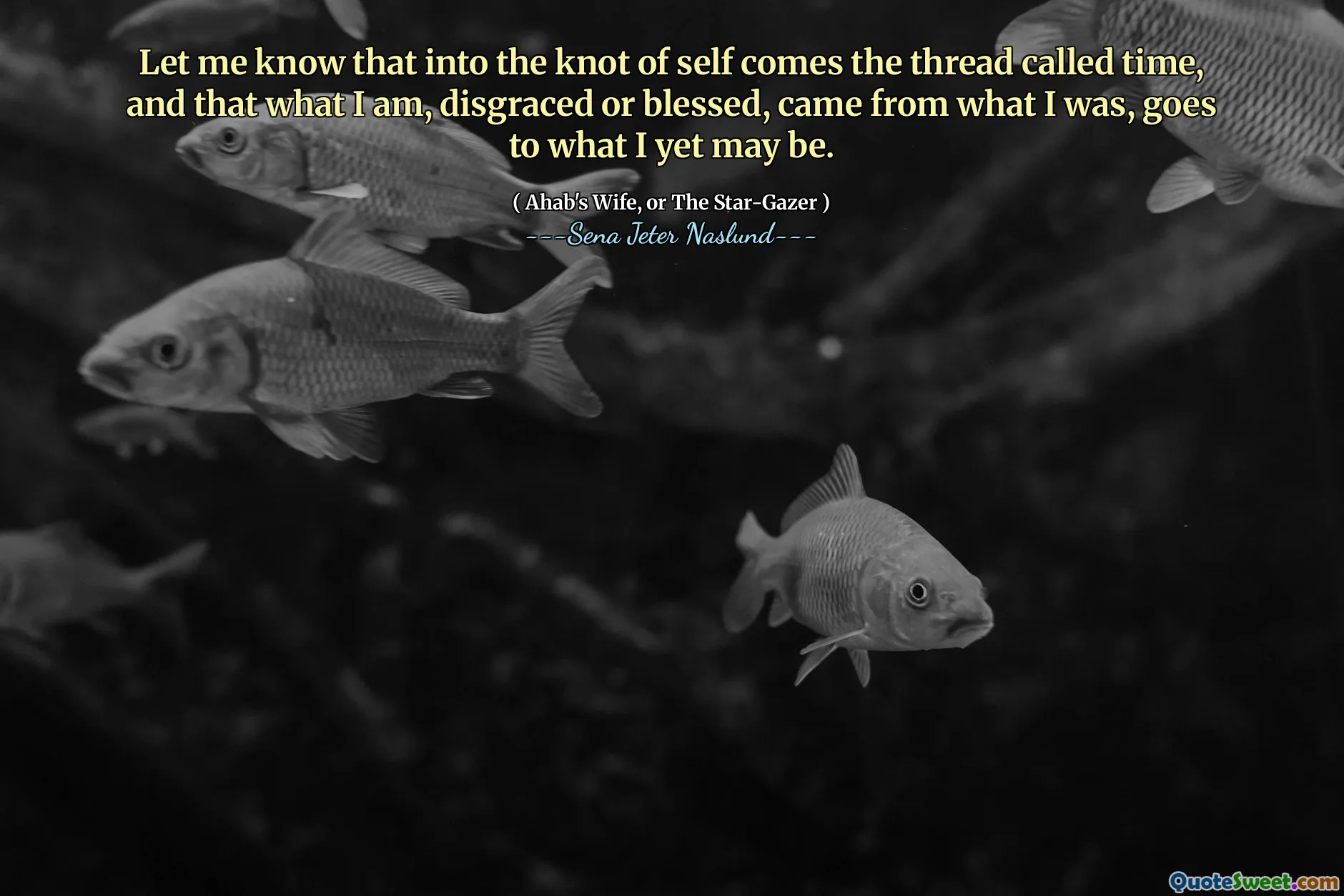 Anunțați -mă că în nodul de sine vine firul numit timp și că ceea ce sunt, dezgustat sau binecuvântat, a venit din ceea ce am fost, merge la ceea ce aș putea fi încă.