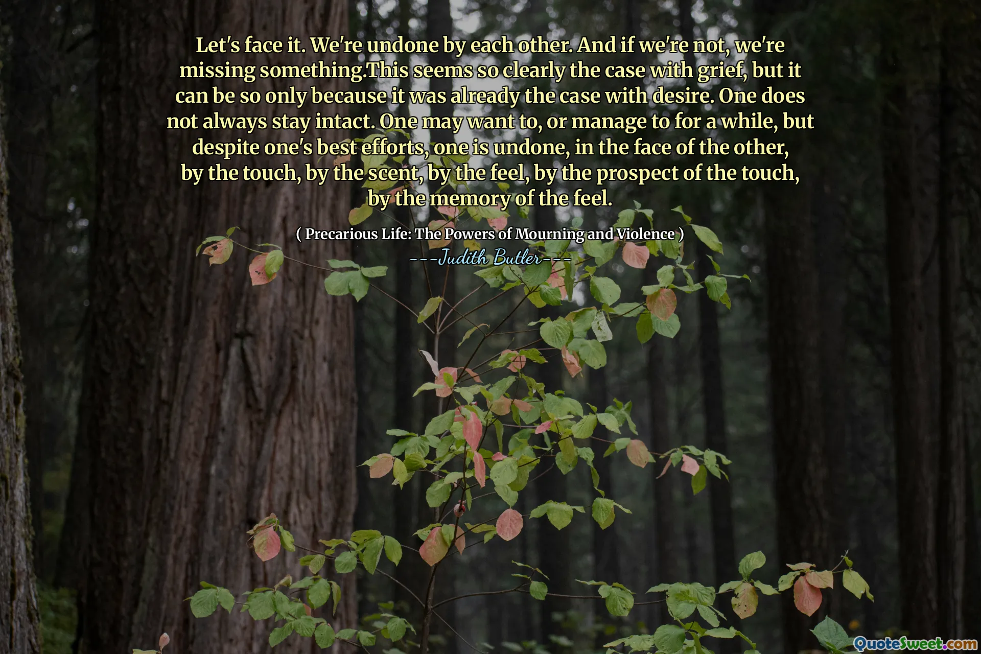 Låt oss inse det. Vi har ångrat varandra. Och om vi inte är det, saknar vi något. Detta verkar så tydligt fallet med sorg, men det kan vara så bara för att det redan var fallet med lust. Man förblir inte alltid intakt. Den ena kanske vill, eller lyckas med ett tag, men trots ens bästa ansträngningar ångras den ena, inför den andra, genom beröringen, genom doften, genom känslan, genom utsikterna till beröringen, genom minnet av känslan.